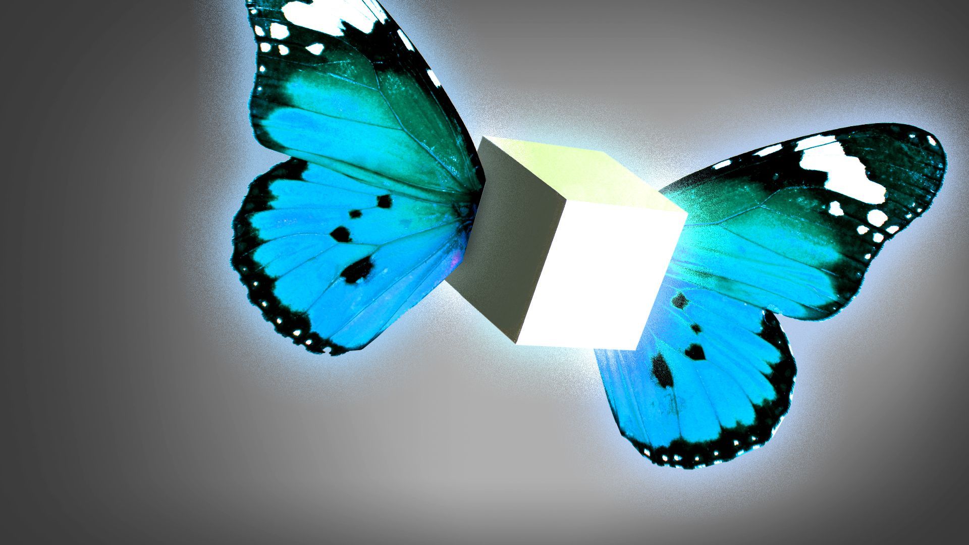 Illustration of a cube flying away with butterfly wings
