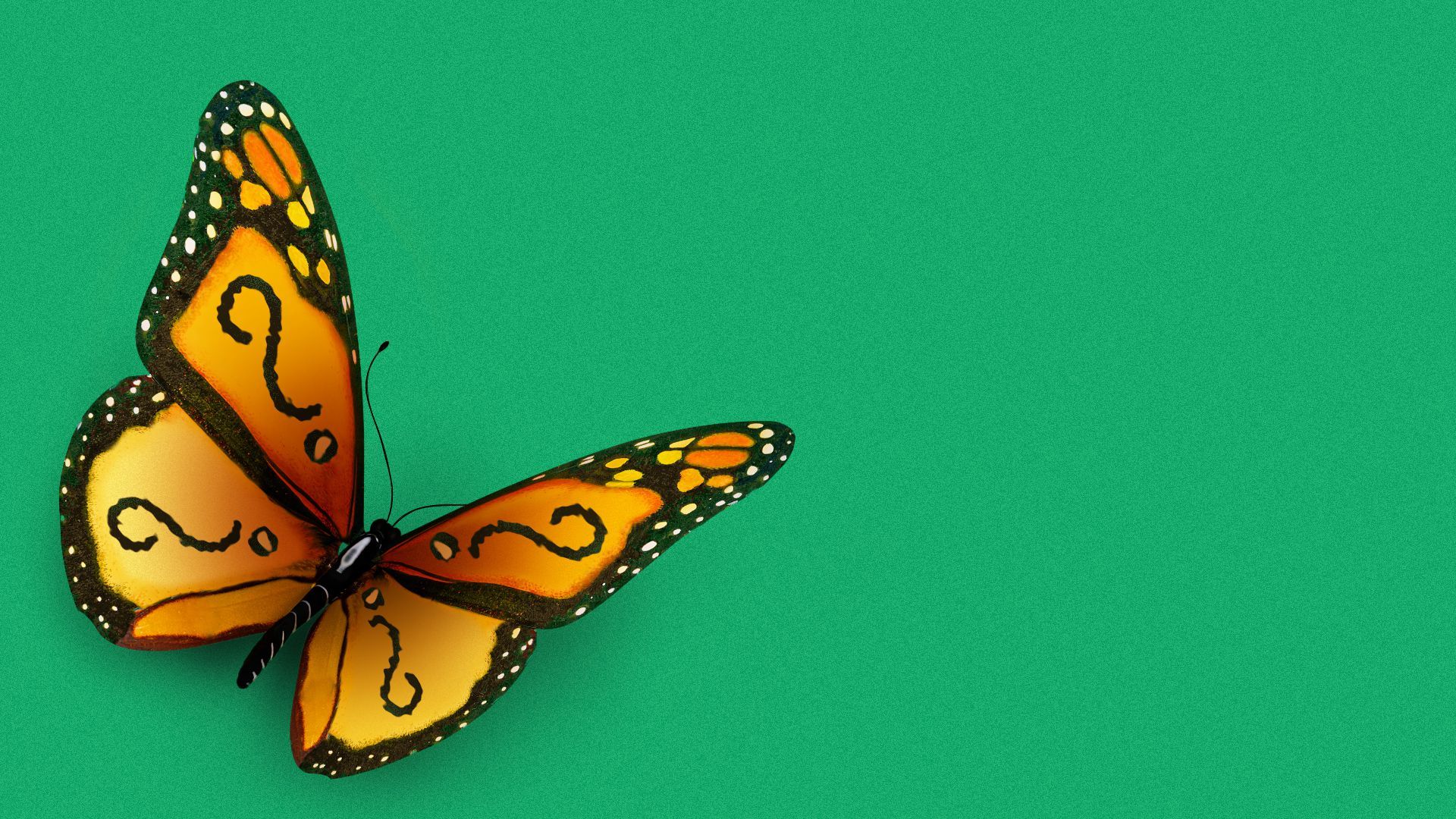 Illustration of a monarch butterfly with a question mark pattern on its wings.   