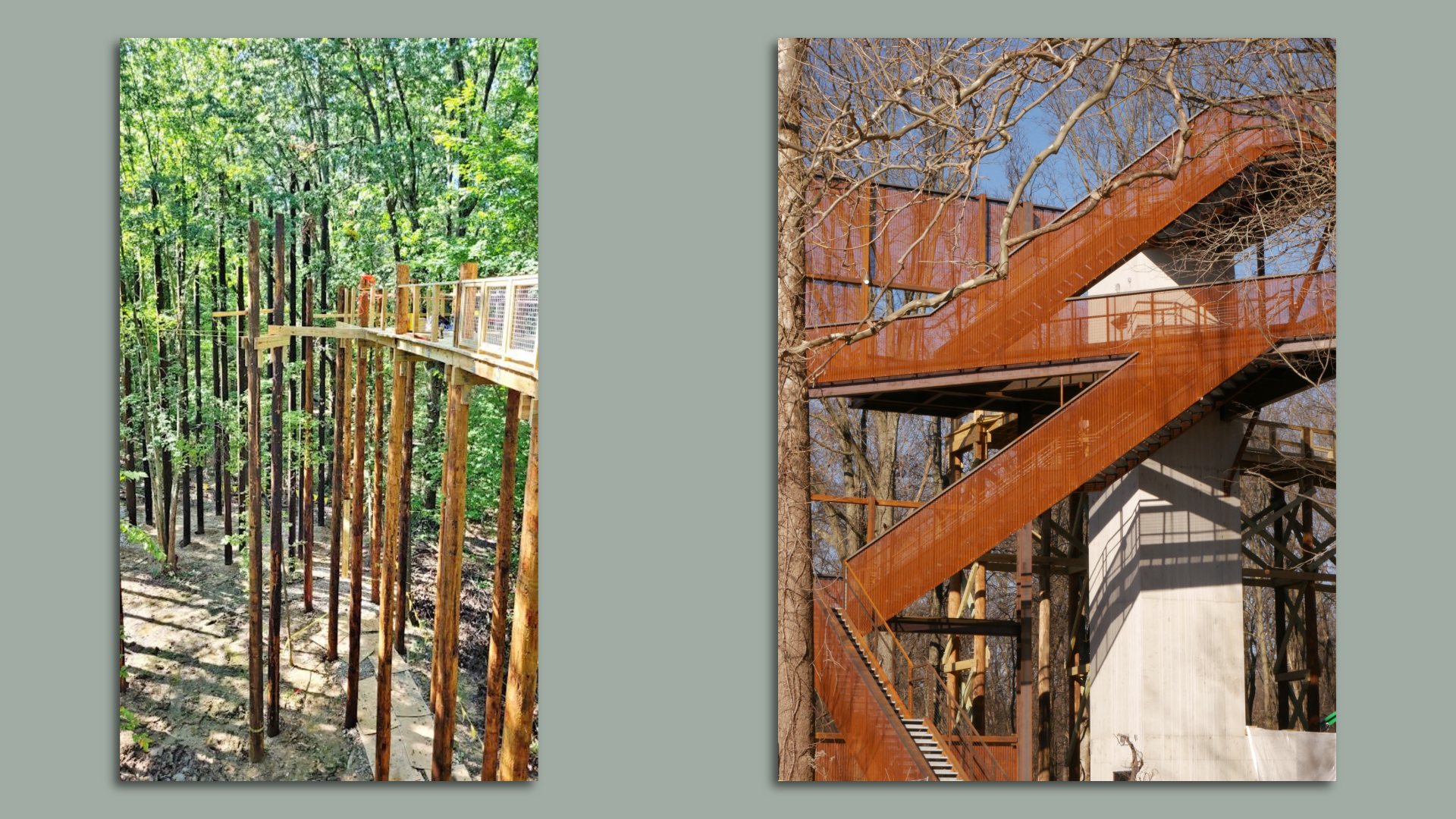 Side by side images of a new park canopy walk showing high-up walking paths and an elevator. 