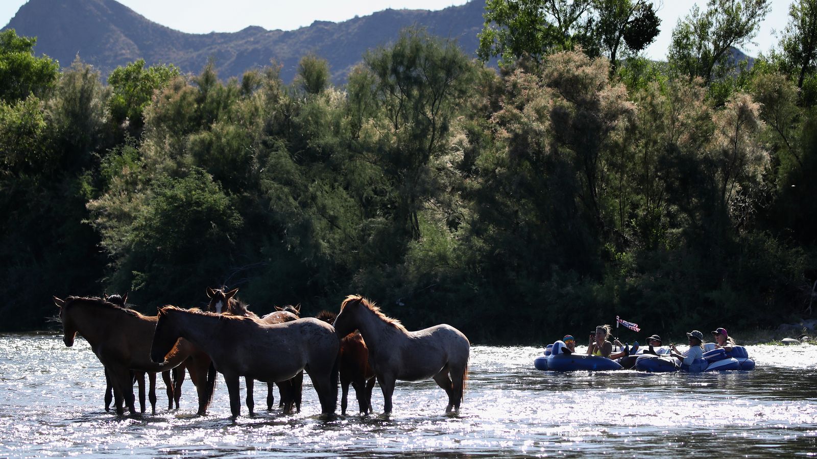 Why tubers throw marshmallows in the Salt River and why they must stop
