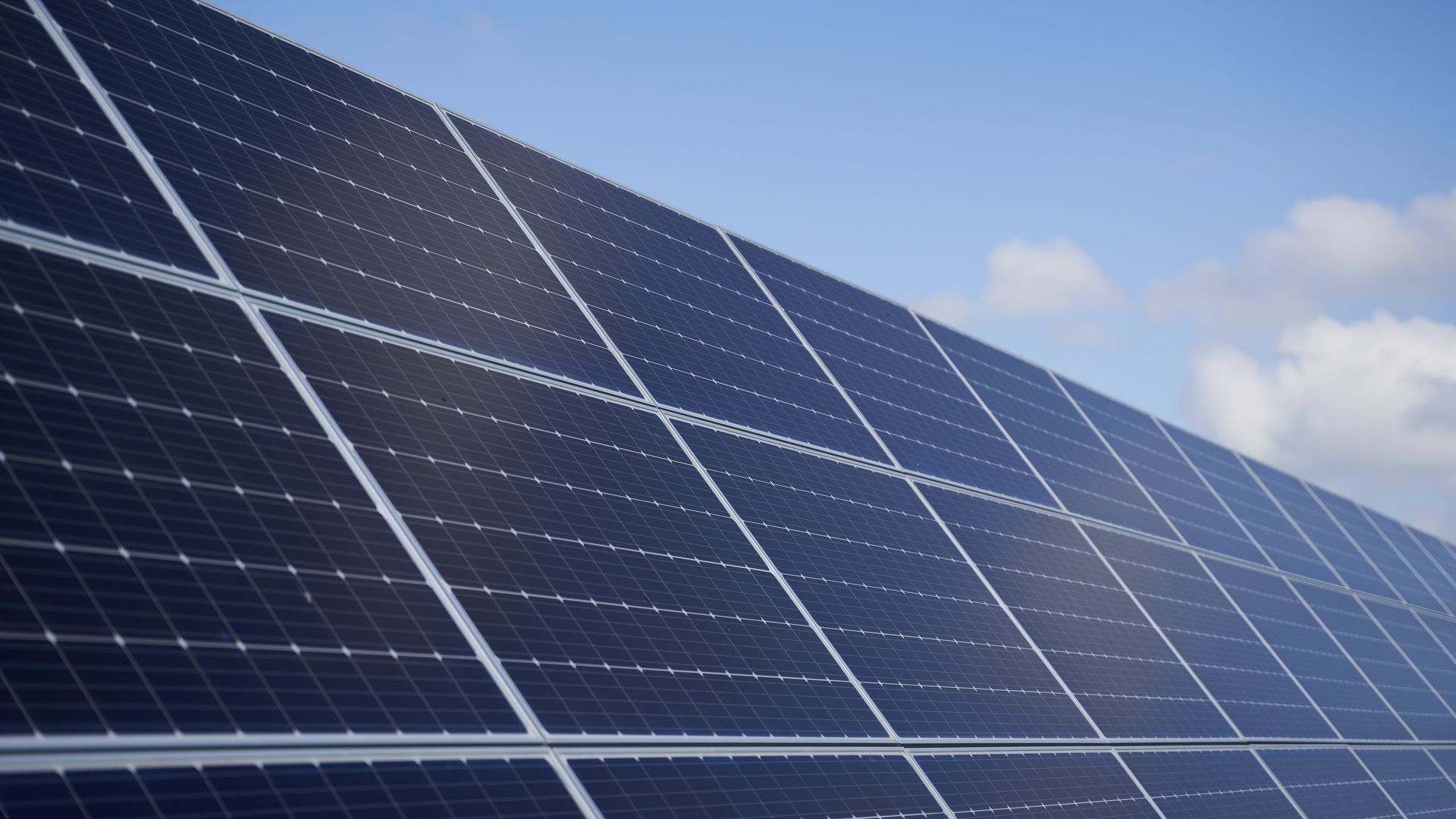A group of photovoltaic panels