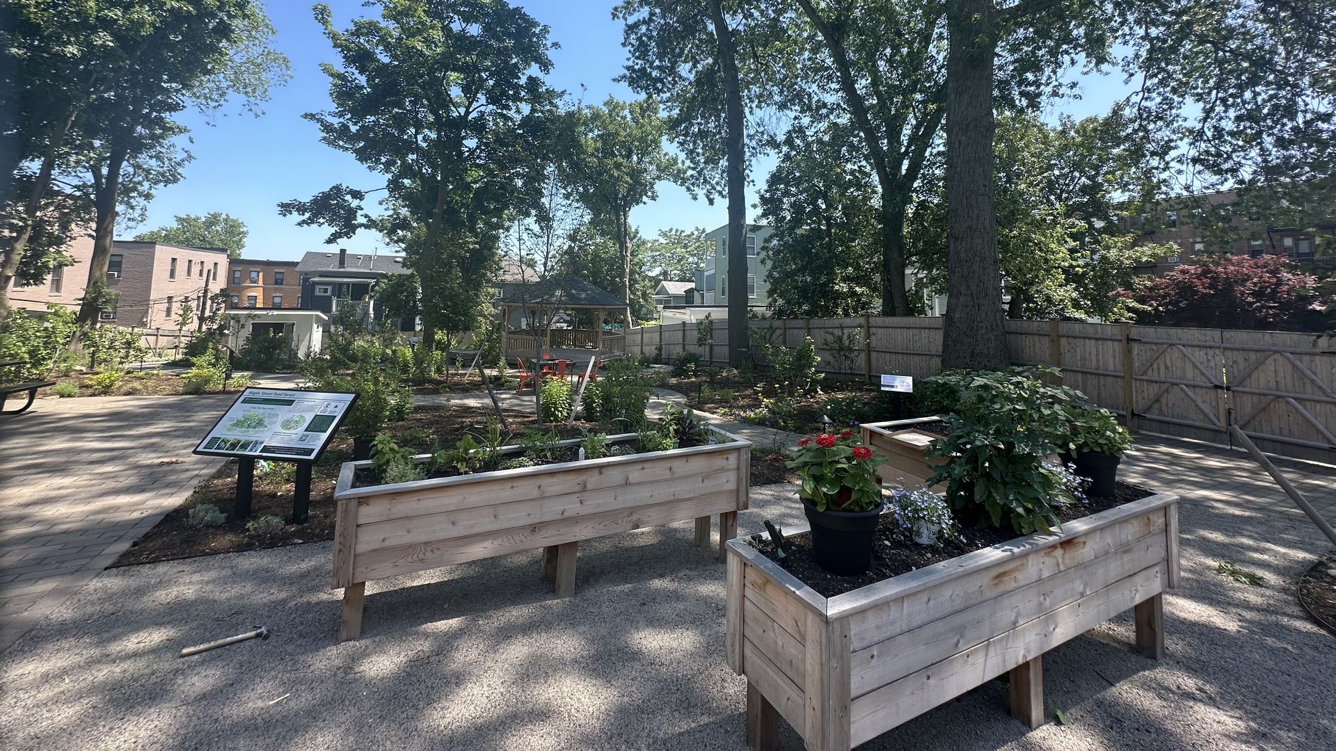 A shot of flowers, plants, lettuce and trees, with a gazebo in the background, at the Maple Street Food Forest in Boston's Dorchester neighborhood.