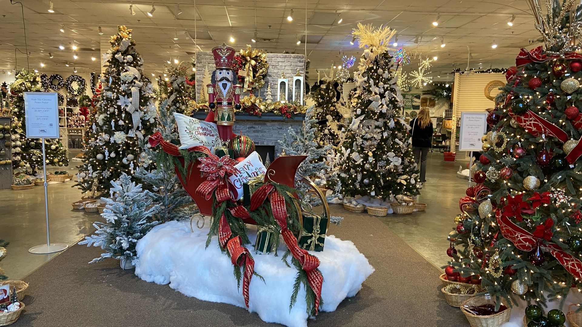 Christmas trees lit up at Peppermint Forest.