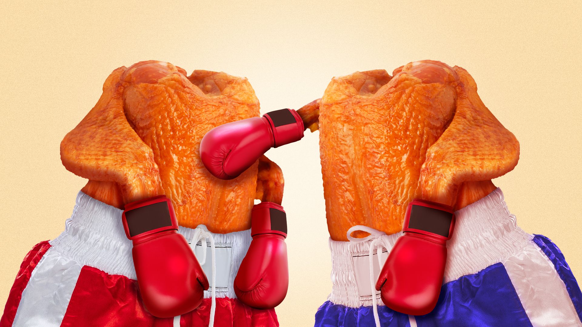 Illustration of two cooked turkeys boxing each other