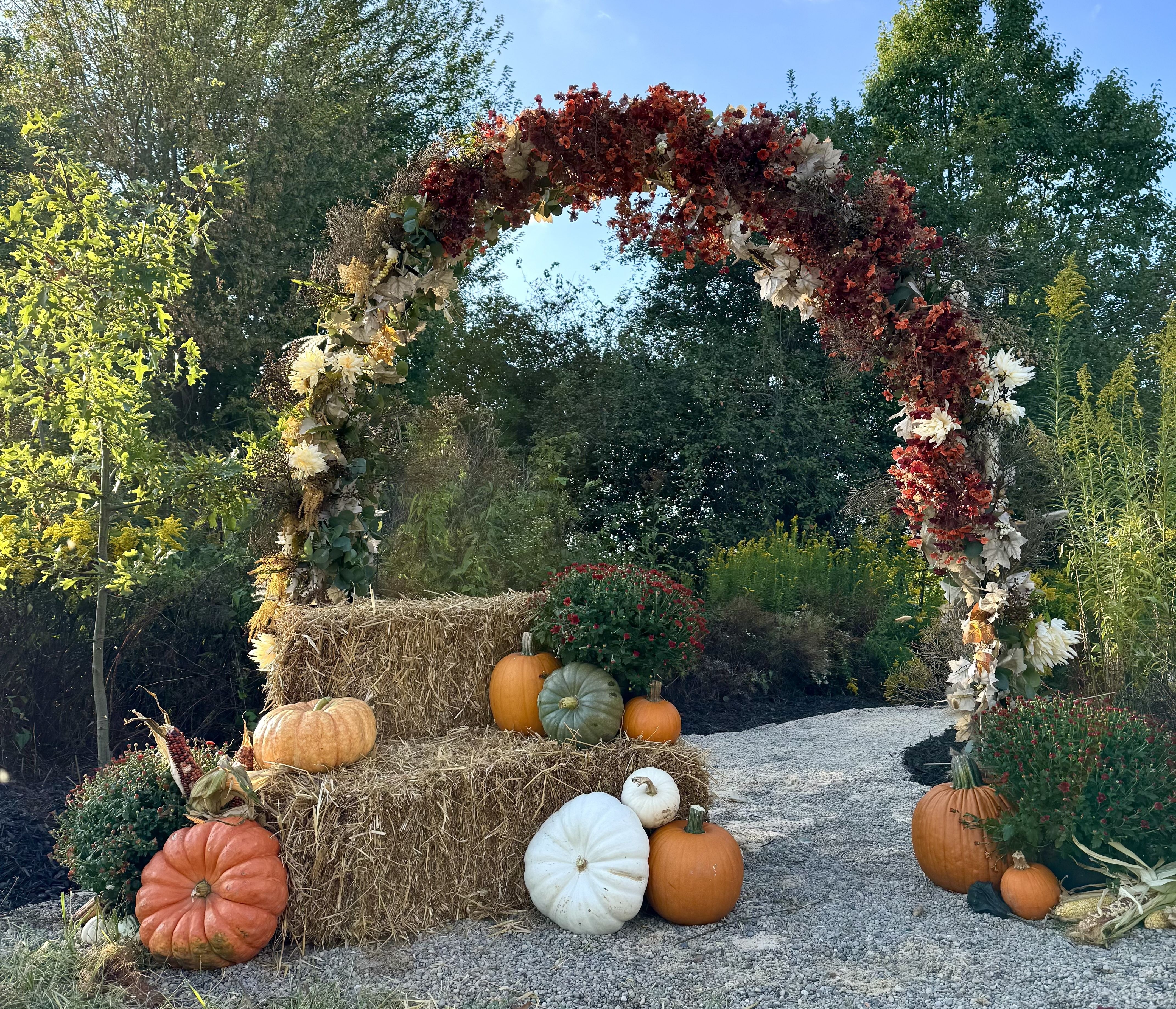 Autumn outdoor scene with a floral arch decorated in red and white flowers, hay bales, various pumpkins in orange, white, and green, and potted red flowers along a gravel path.