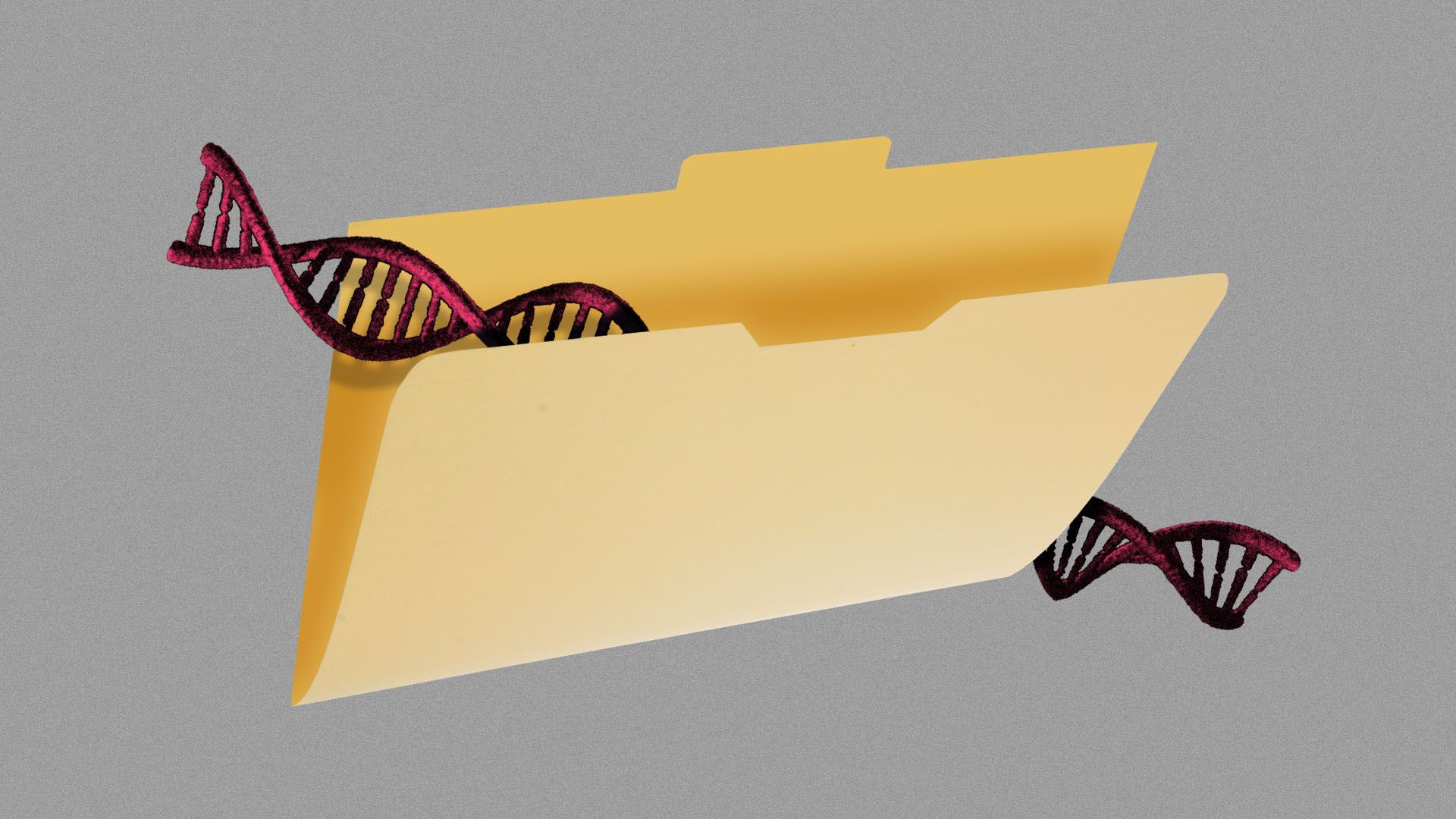 Illustration of DNA double helix in folder
