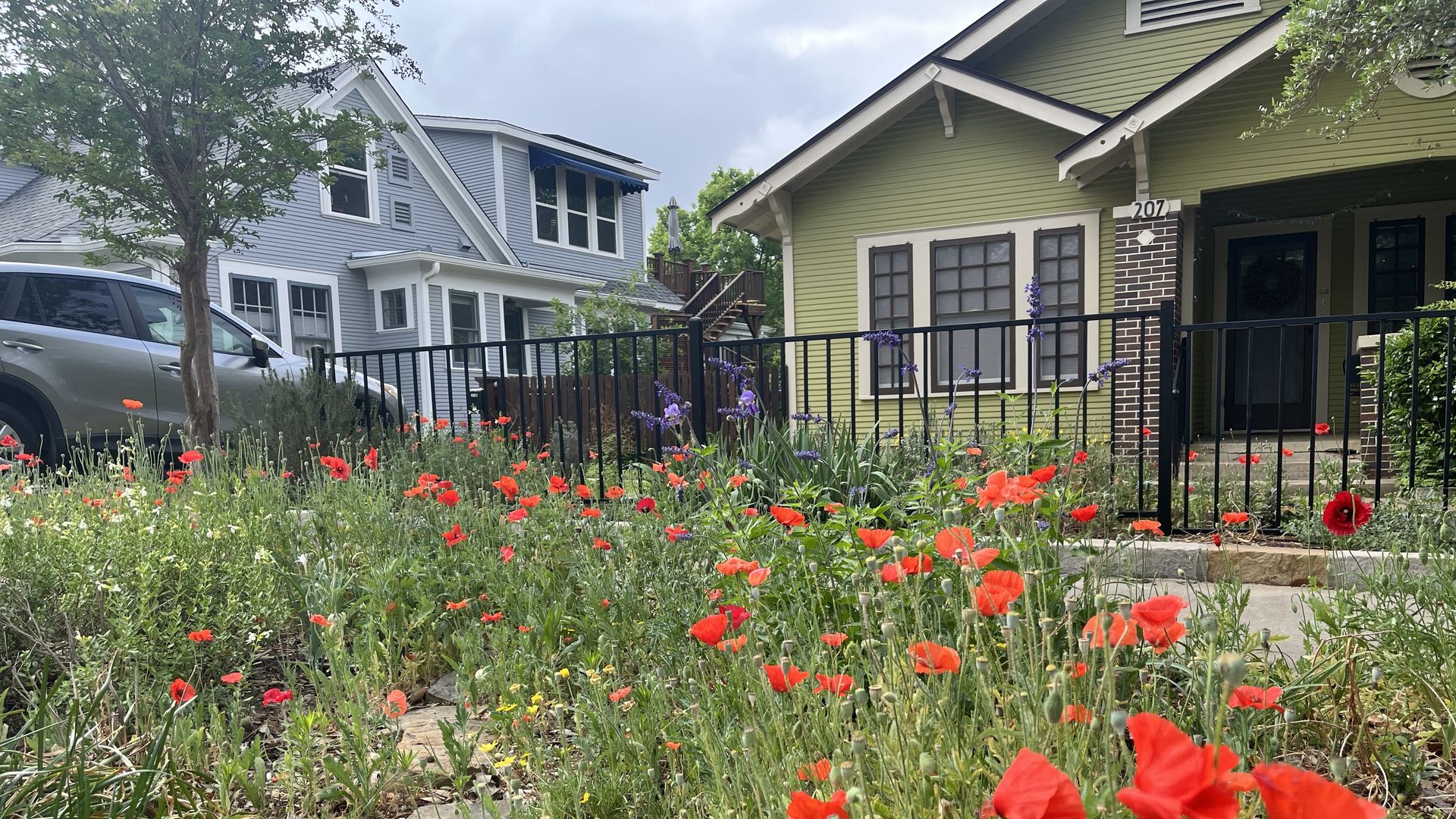 Suburban street scene with a black metal fence along a flower-filled path of bright red poppies and purple blooms. Behind are two houses, a silver SUV, a tree, and a blue sky with clouds.
