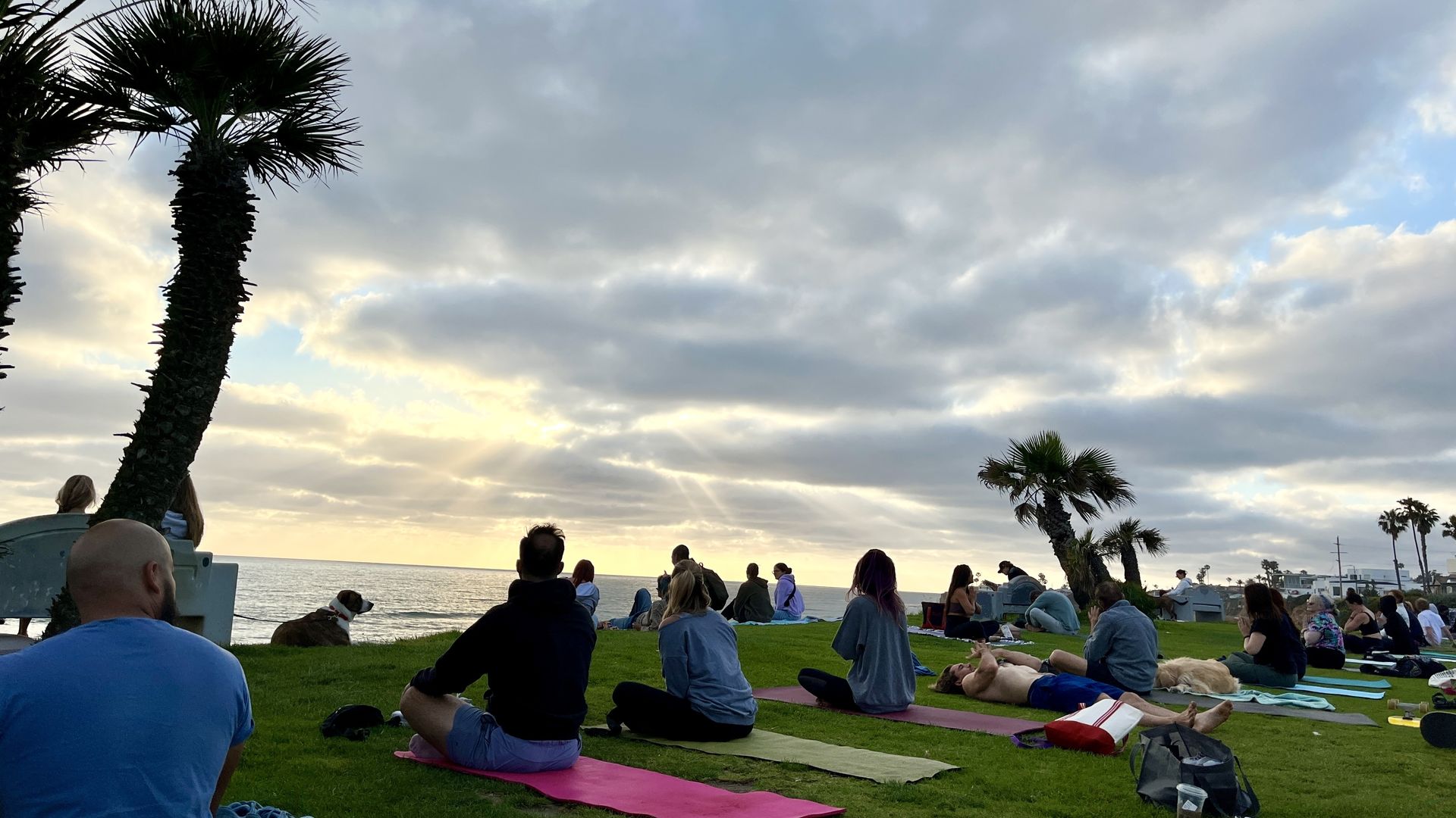 People practicing yoga on bright mats on a grassy shore, with palm trees on the left, cloudy sky overhead, and a calm sea in the distance at sunset.