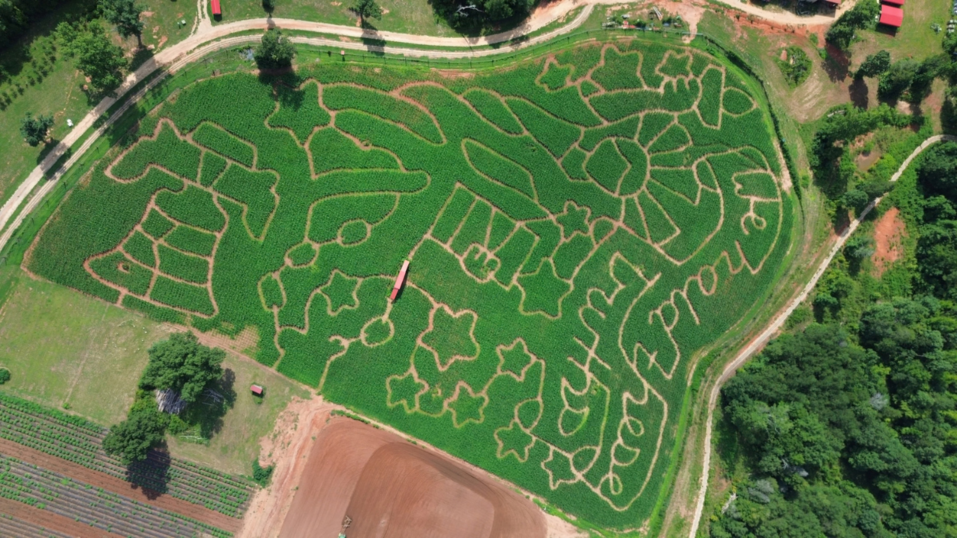 An aerial view of a large cornfield maze with light-colored paths forming abstract shapes and figures; a red-roofed building sits near the center, bordered by dirt paths and trees.