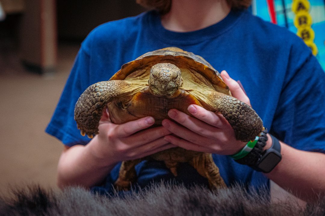 Charlotte Events Axios charlotte-events-axios