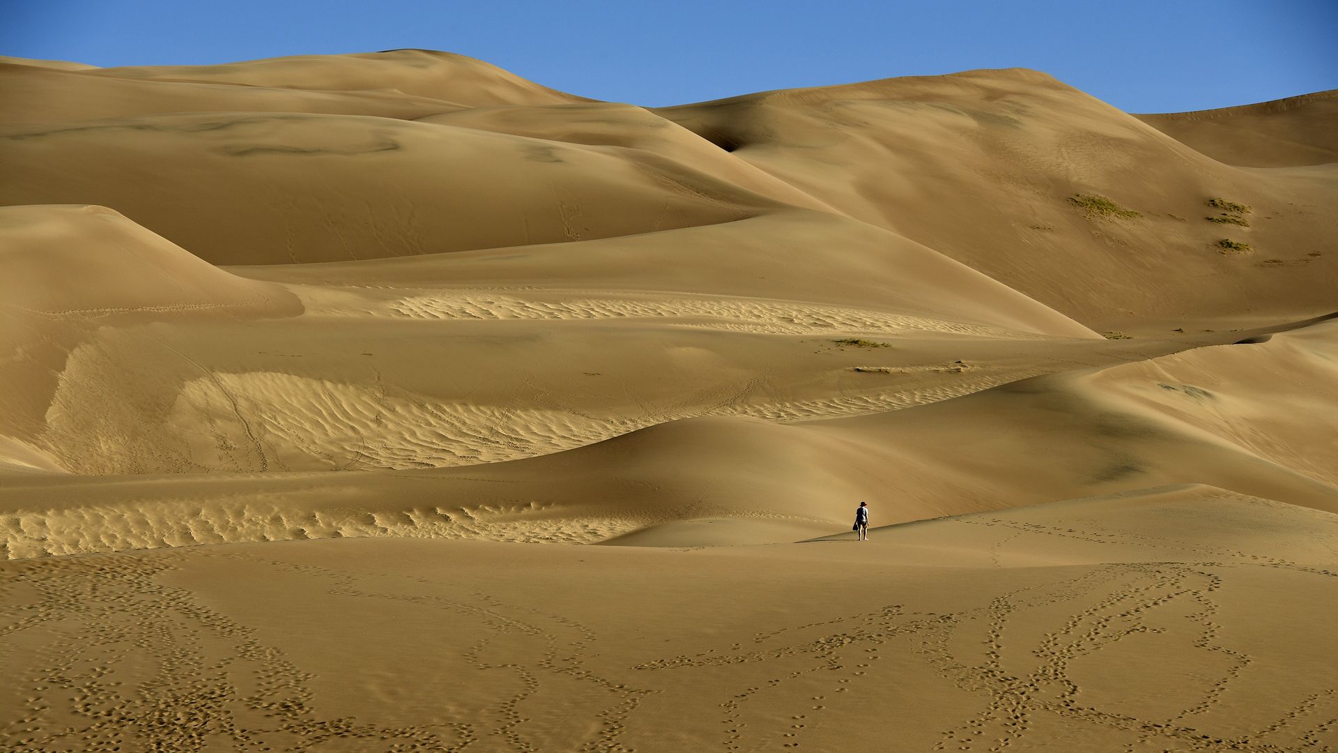 A park visitor hikes at Great Sand Dunes National Park in 2019. Photo: Helen H. Richardson/Denver Post via Getty Images