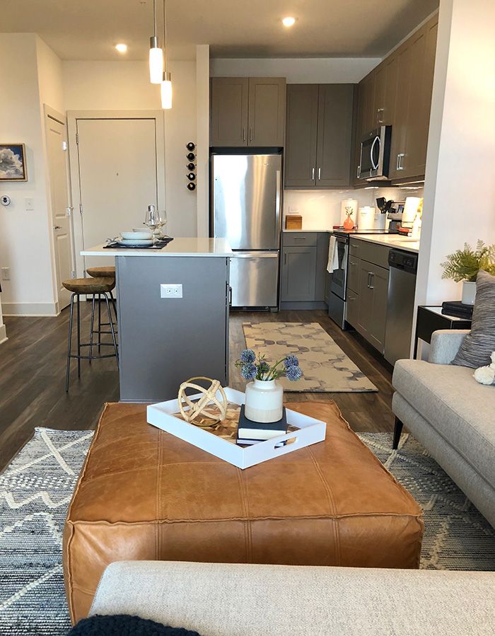 Bradham at New Bern Station one bedroom living room and kitchen