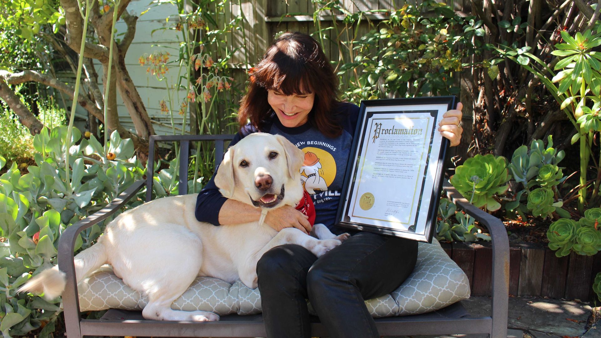 A big cream-colored dog sits on a bench with a human holding a framed proclamation.