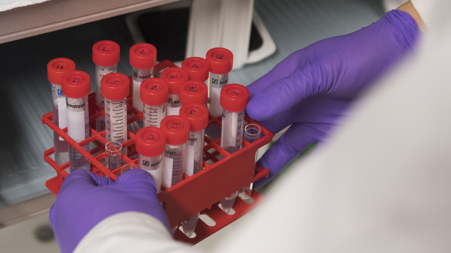 Test tubes in a lab
