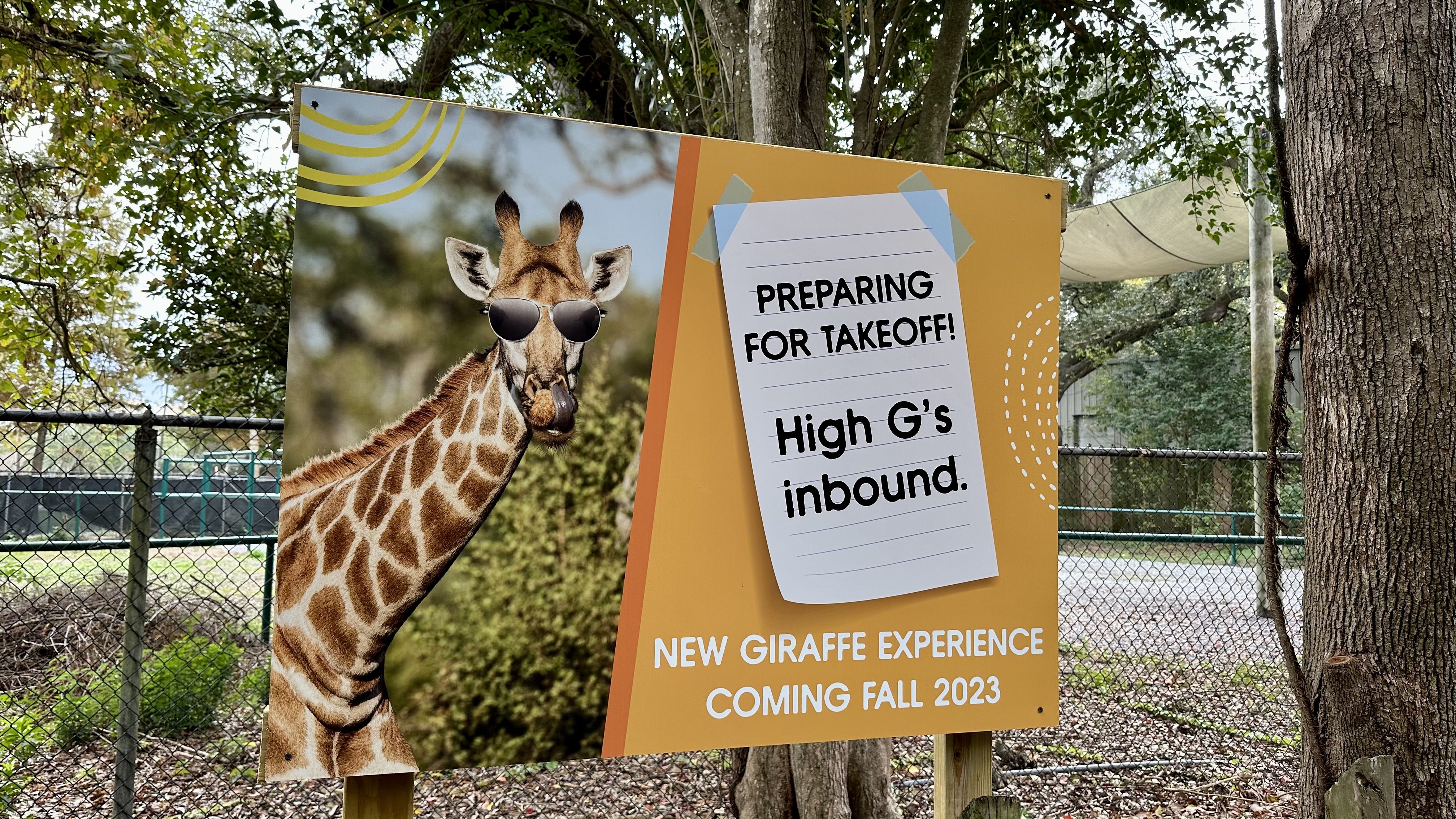 sign says "new giraffe experience coming fall 2023"