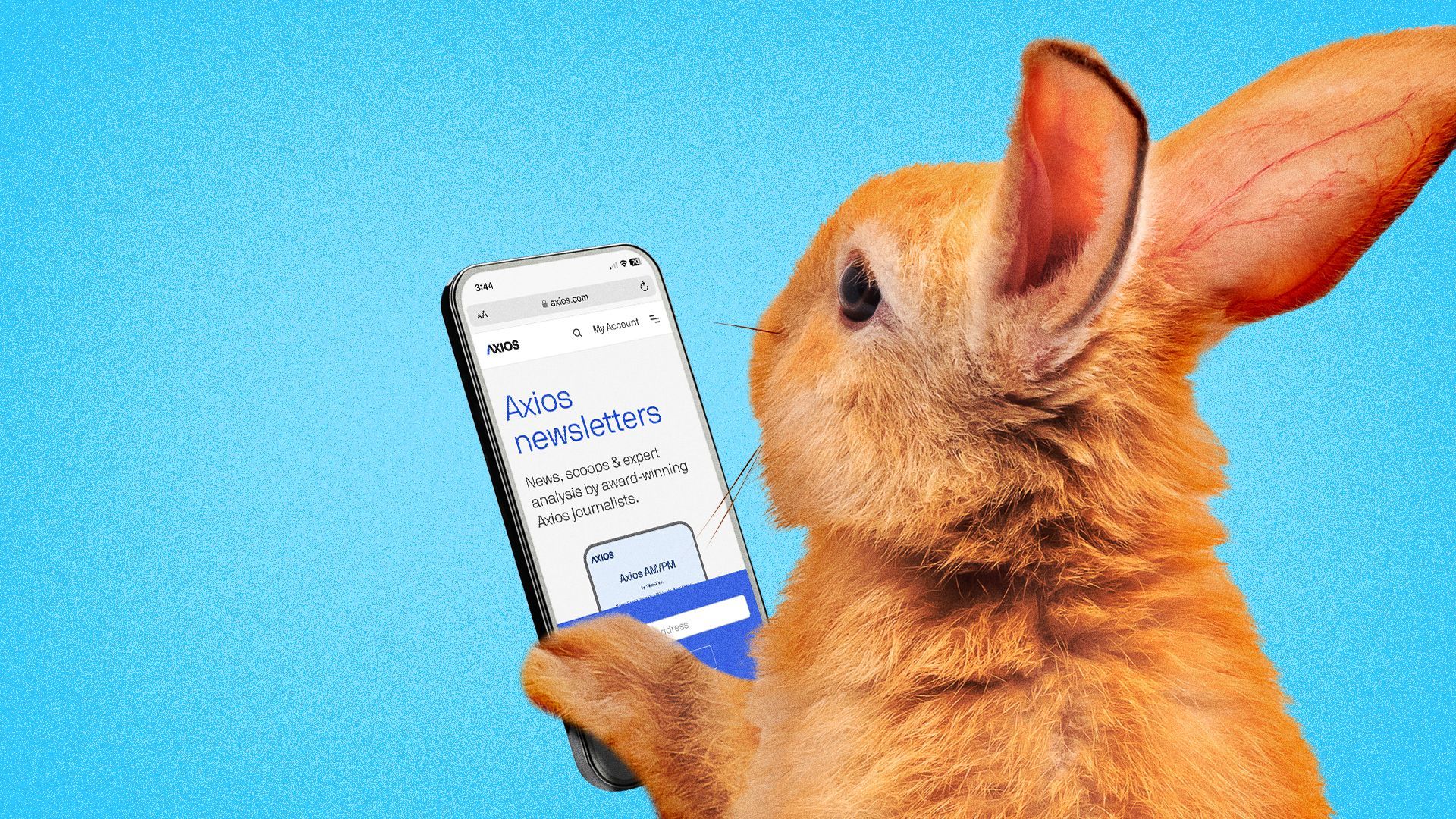 Illustration of a rabbit reading the Axios website on a phone. 