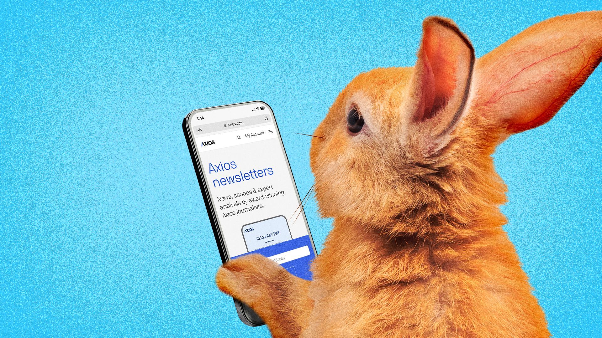 Illustration of a rabbit reading the Axios website on a phone.