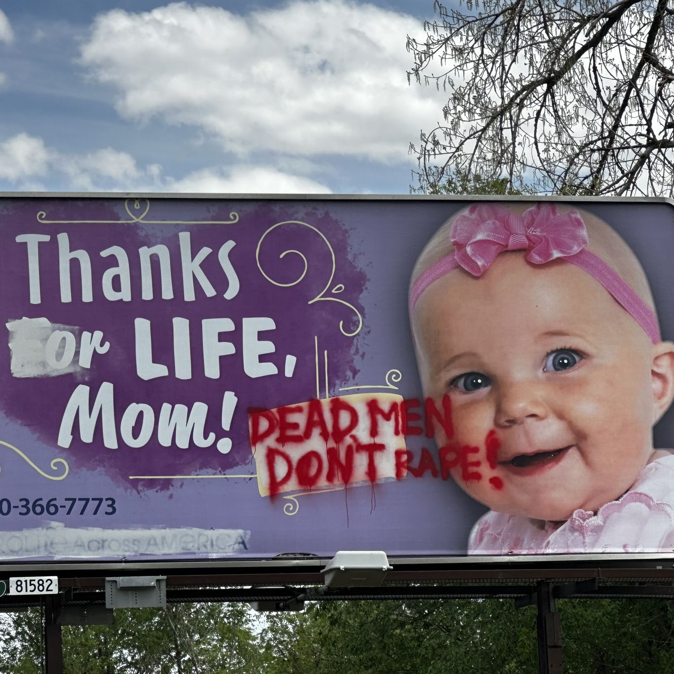 BABYL ポスター Colorado Springs roadside billboard vandalized again - Axios
