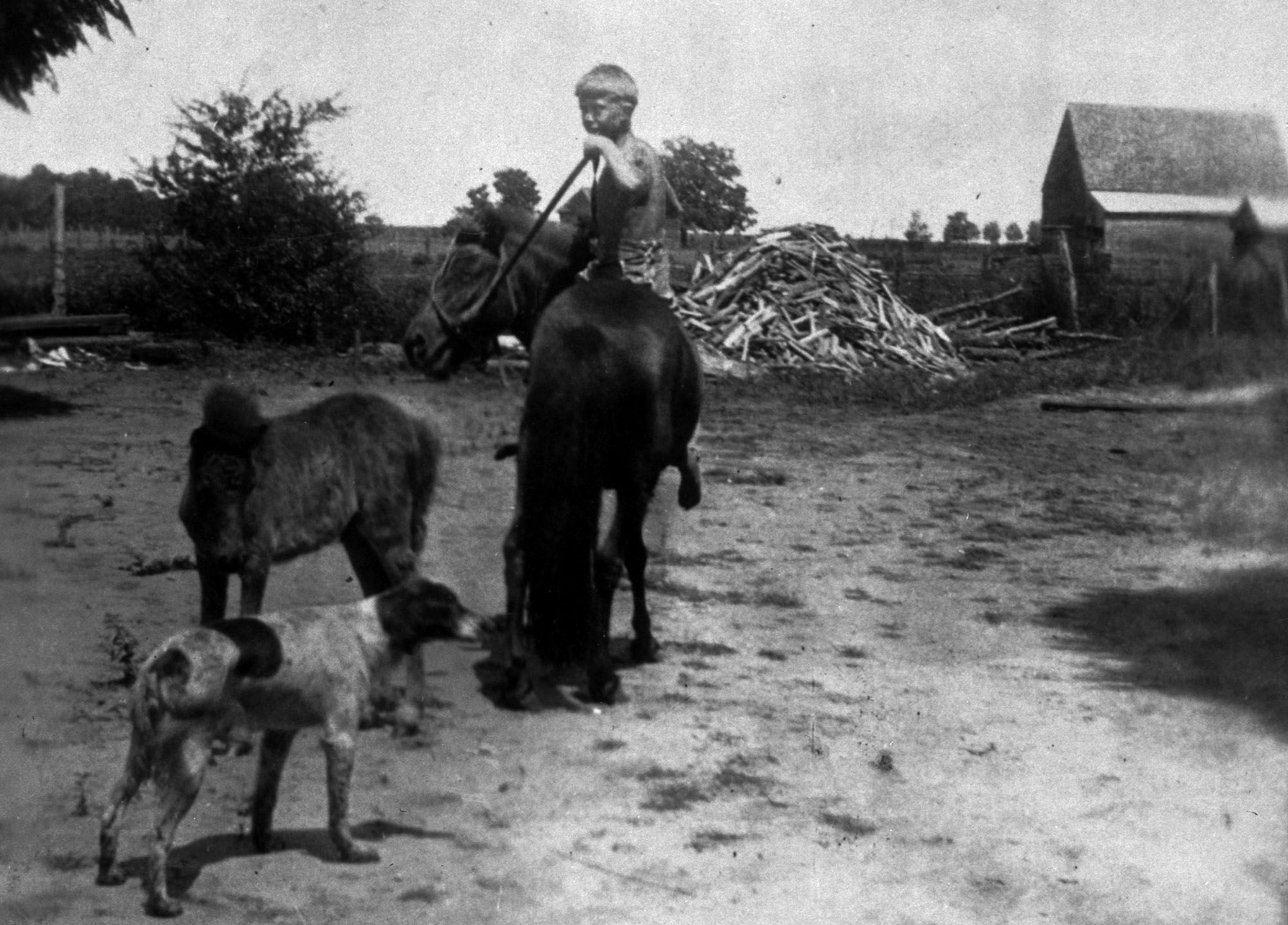 Black and white photo of young Jimmy Carter, about 4 years old, shirtless on a horse, with another pony and a dog nearby