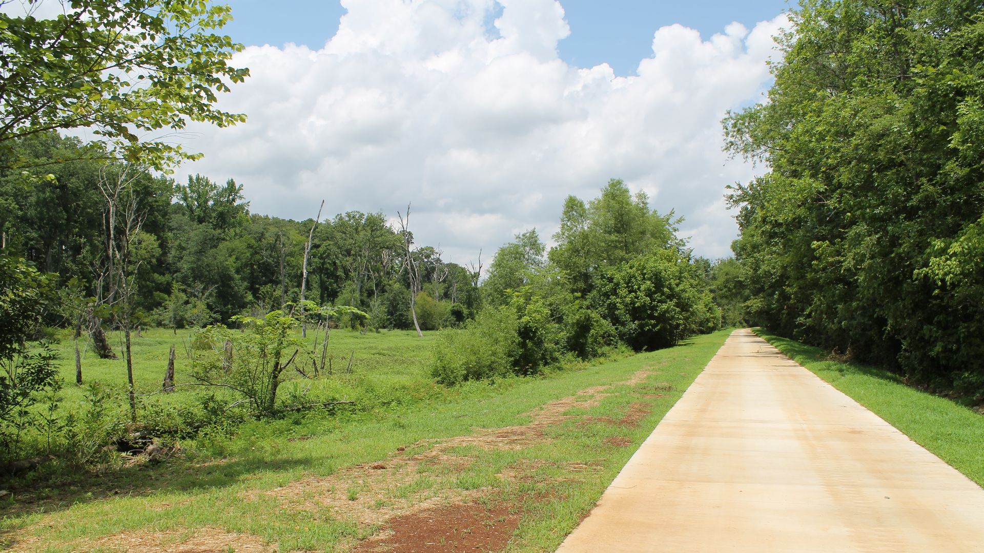 Wide view of a sunny park: a straight concrete path runs through green grass, flanked by trees on both sides under a blue sky with fluffy white clouds.