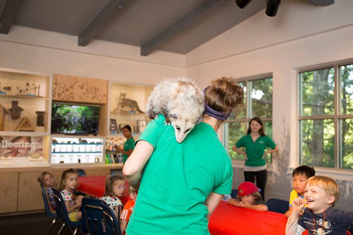 discovery-place-nature-birthday