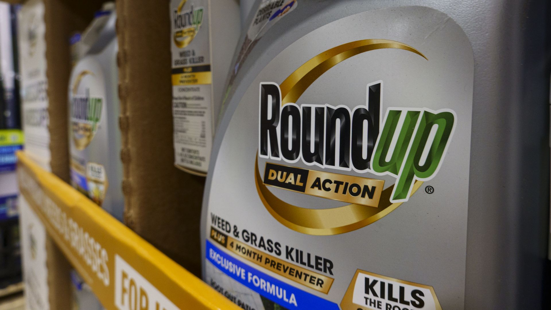 Close-up of silver Roundup Dual Action weed and grass killer containers with yellow and green labels on a store shelf.