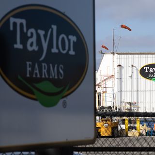Food safety crisis deepens for Taylor Farms with salmonella outbreak