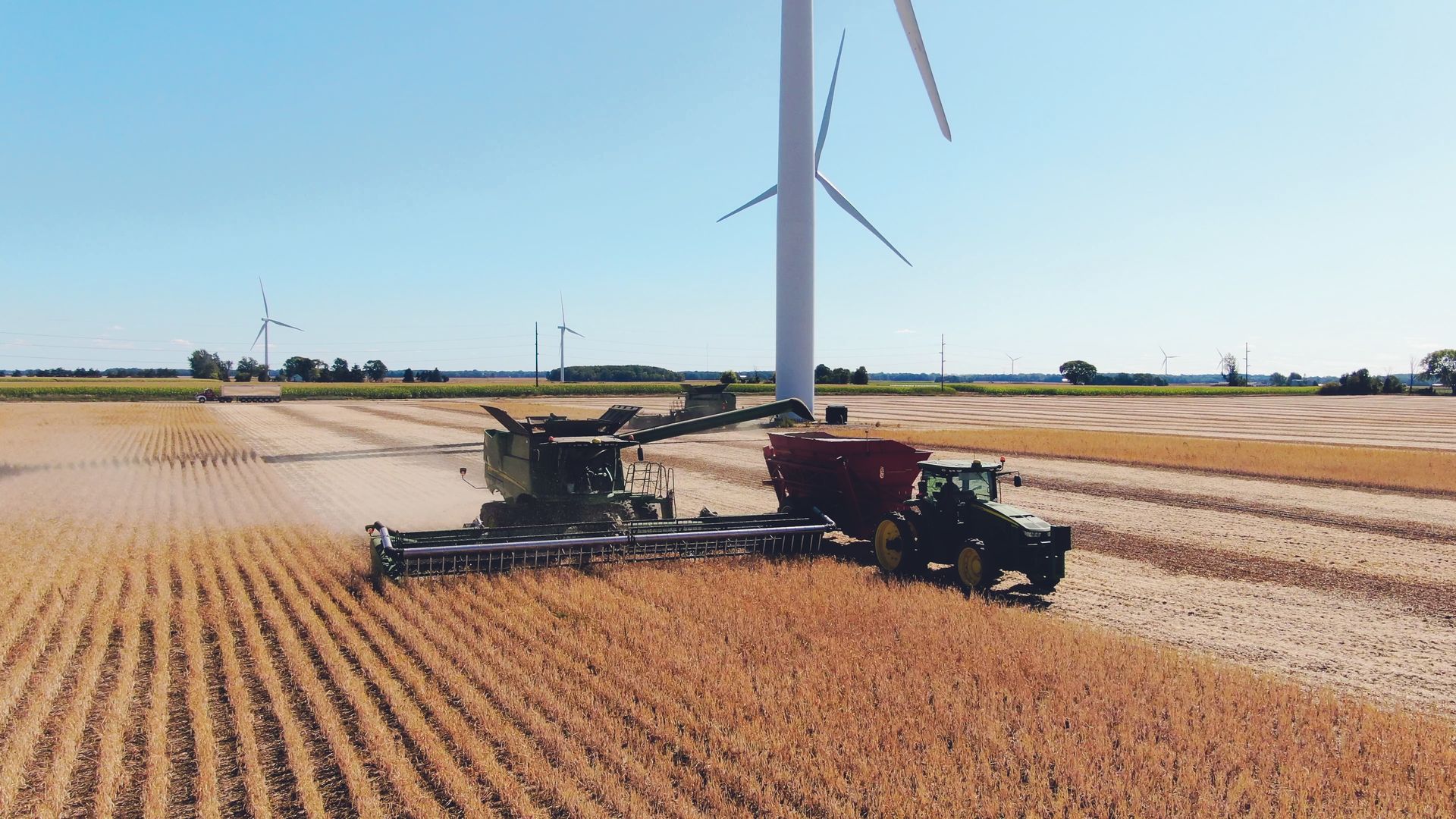 Yellow bean fields with two tractors and a harvester working near a large white wind turbine on a clear sunny day under a bright blue sky.