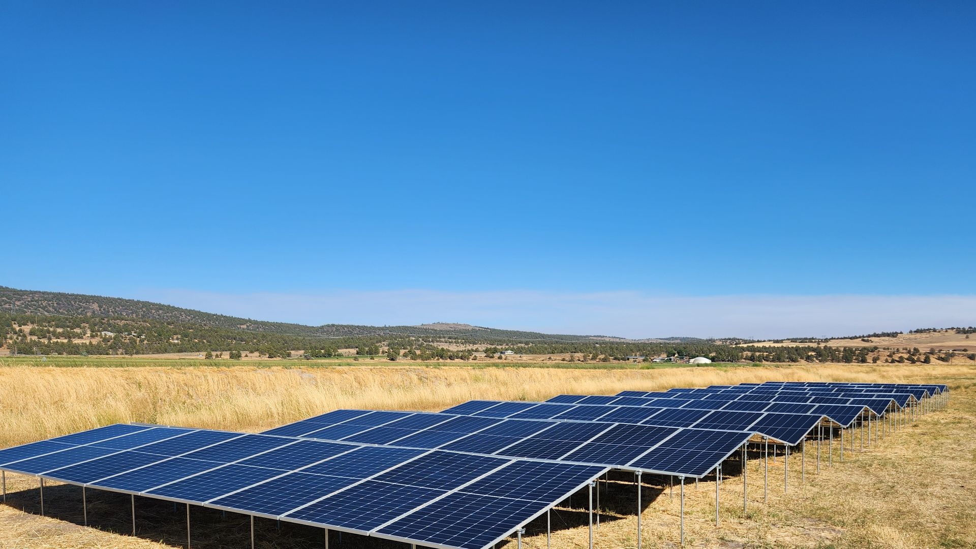 Rows of blue solar panels installed on metal frames in a dry grassy field under a clear blue sky with distant hills.
