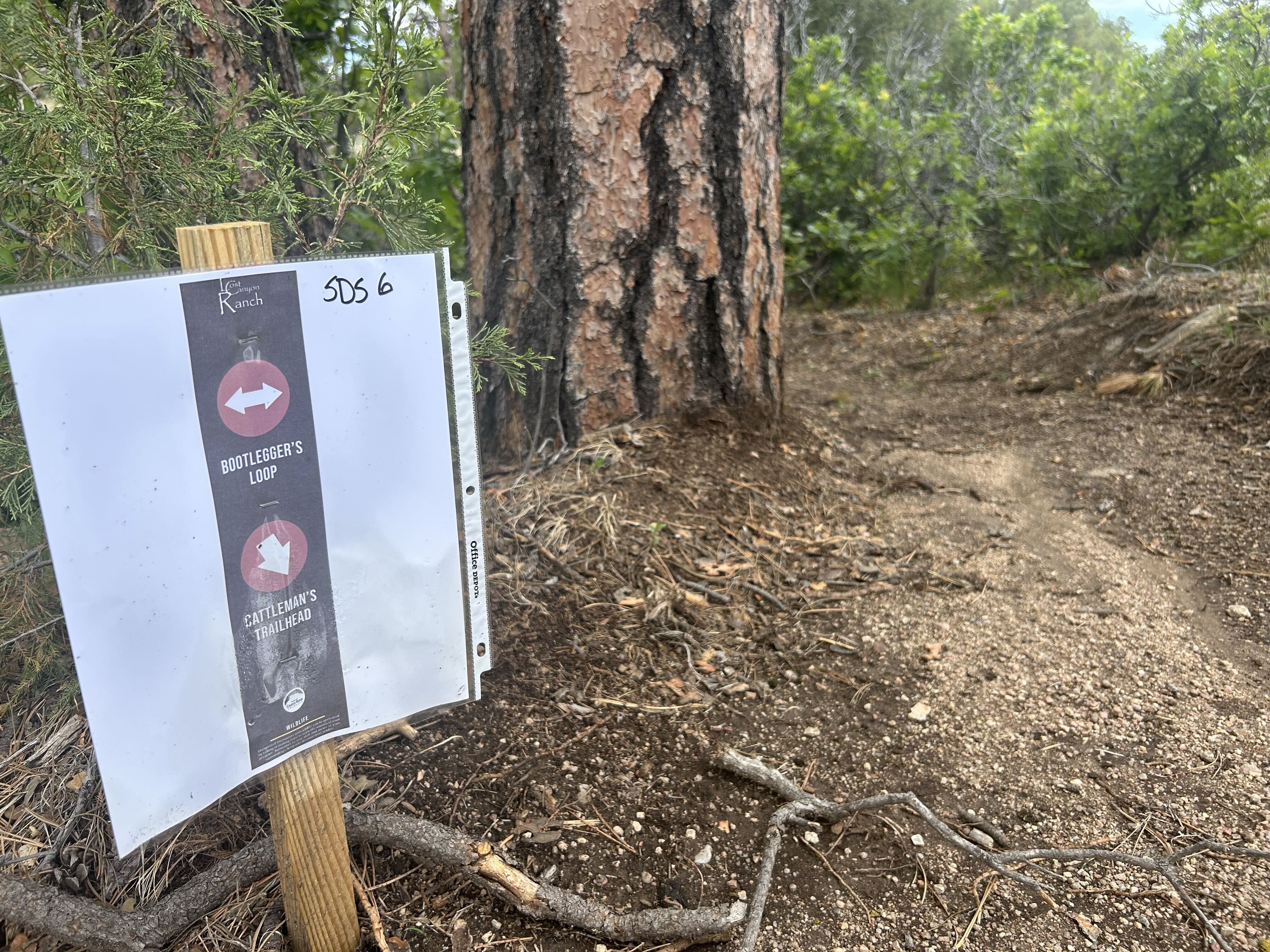  Castle Rock's Lost Canyon Open Space.