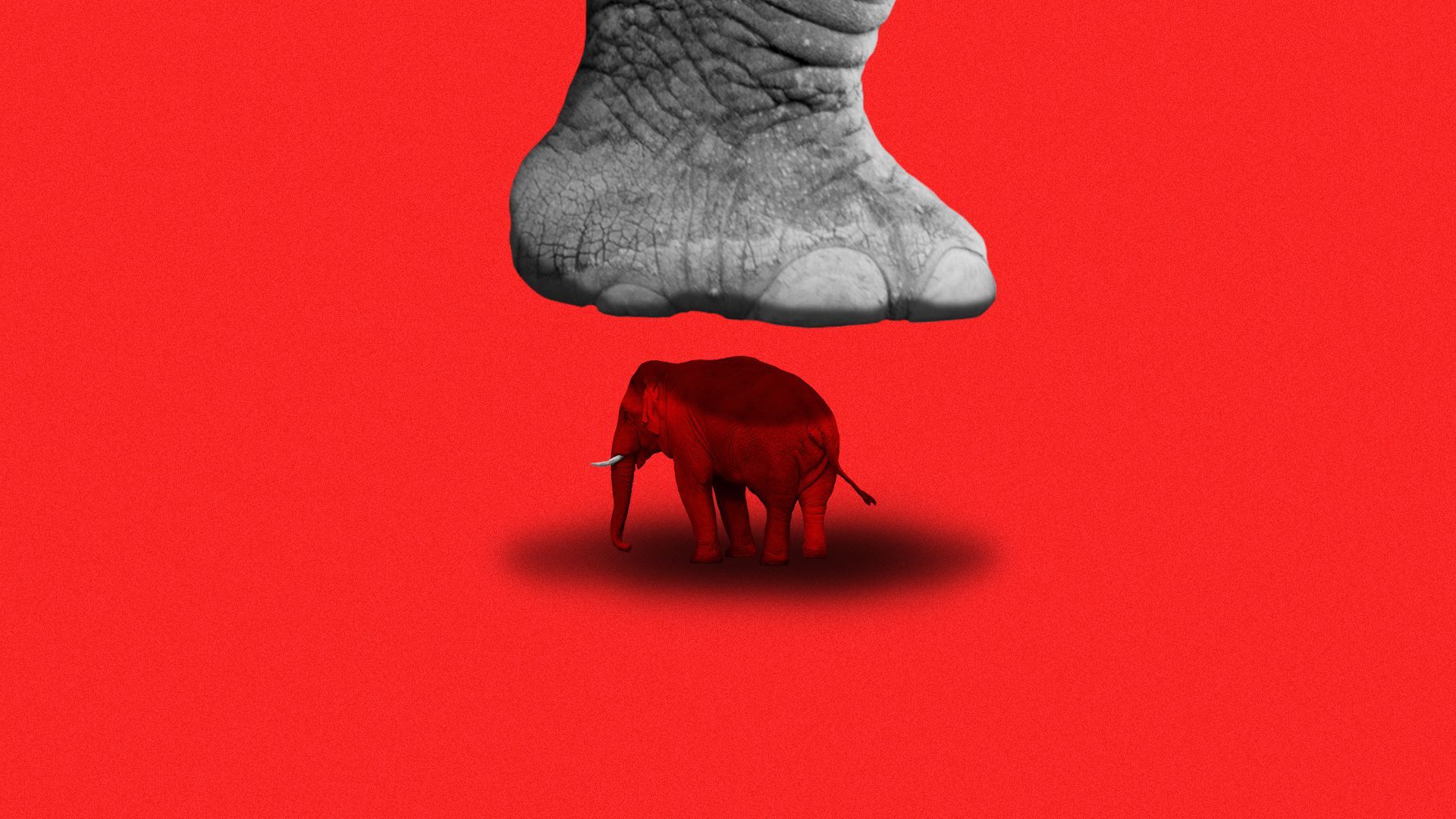Illustration of a tiny elephant about to be crushed by the foot of a giant one