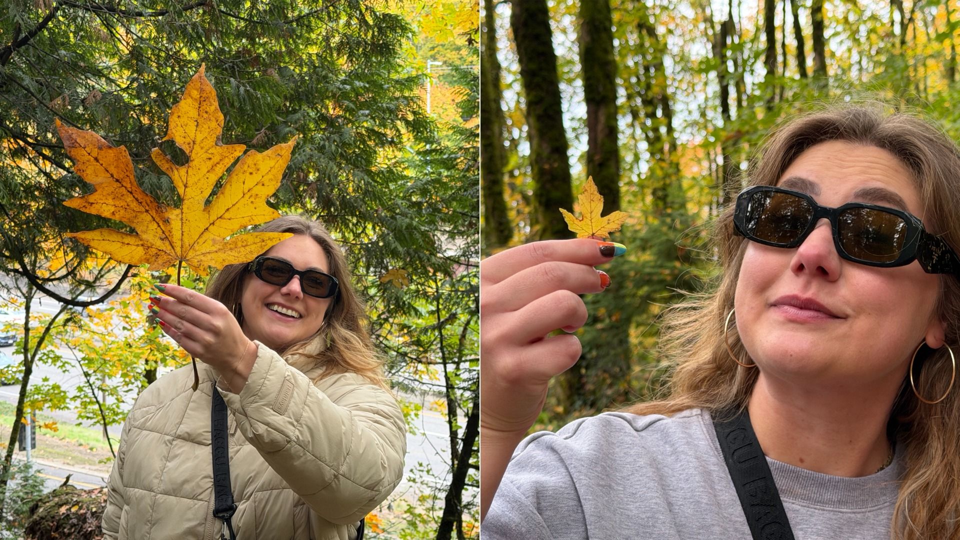 Two images of a woman with sunglasses holding up large and small yellow autumn leaves in a forest with green and yellow trees in the background.