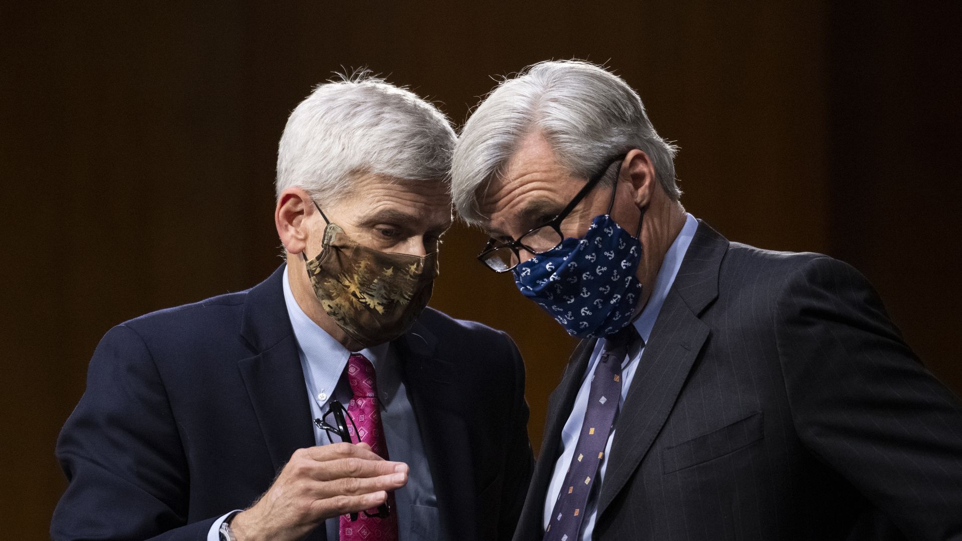 Sens. Bill Cassidy and Sheldon Whitehouse