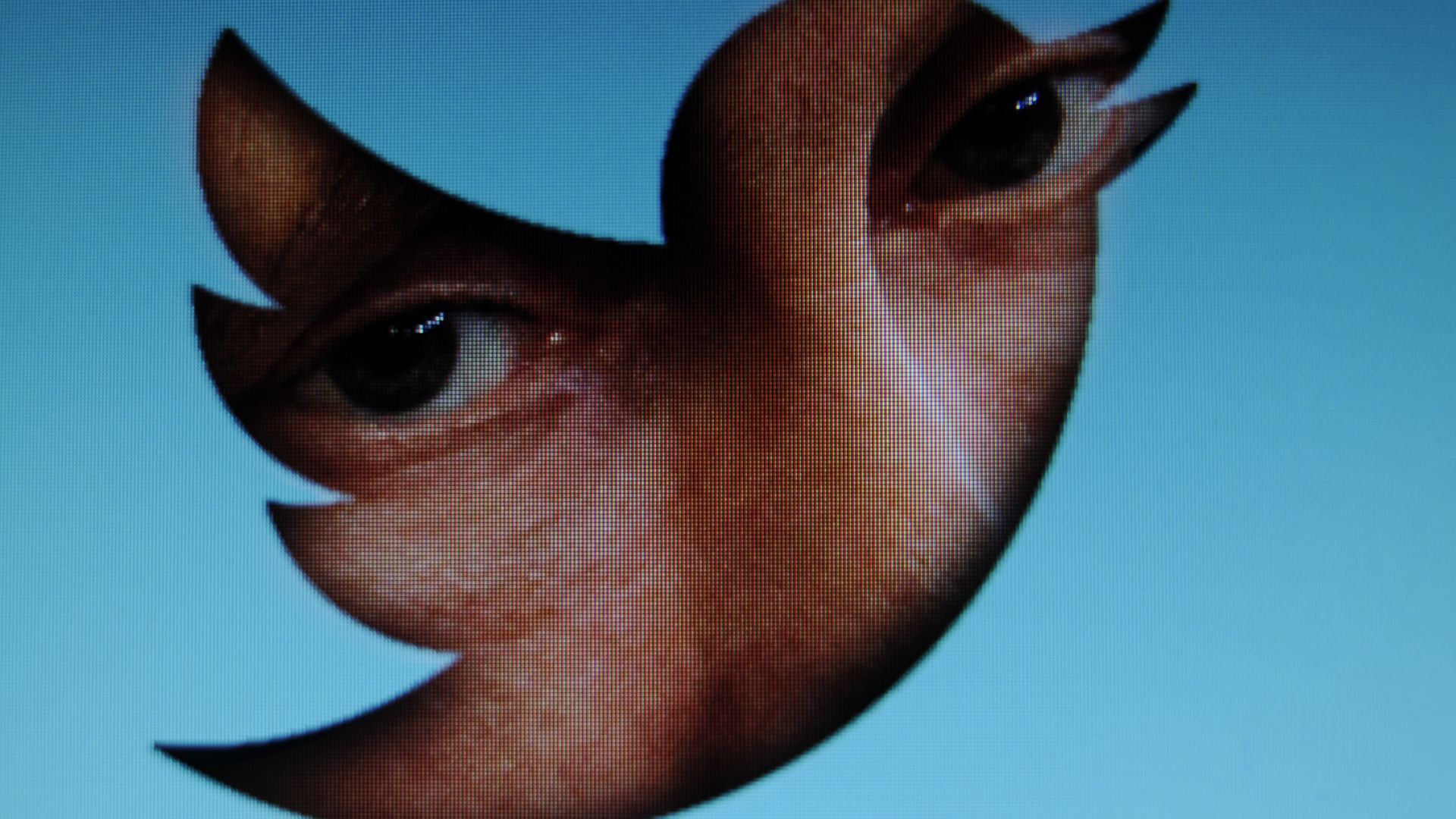 Putin seen through the Twitter Logo