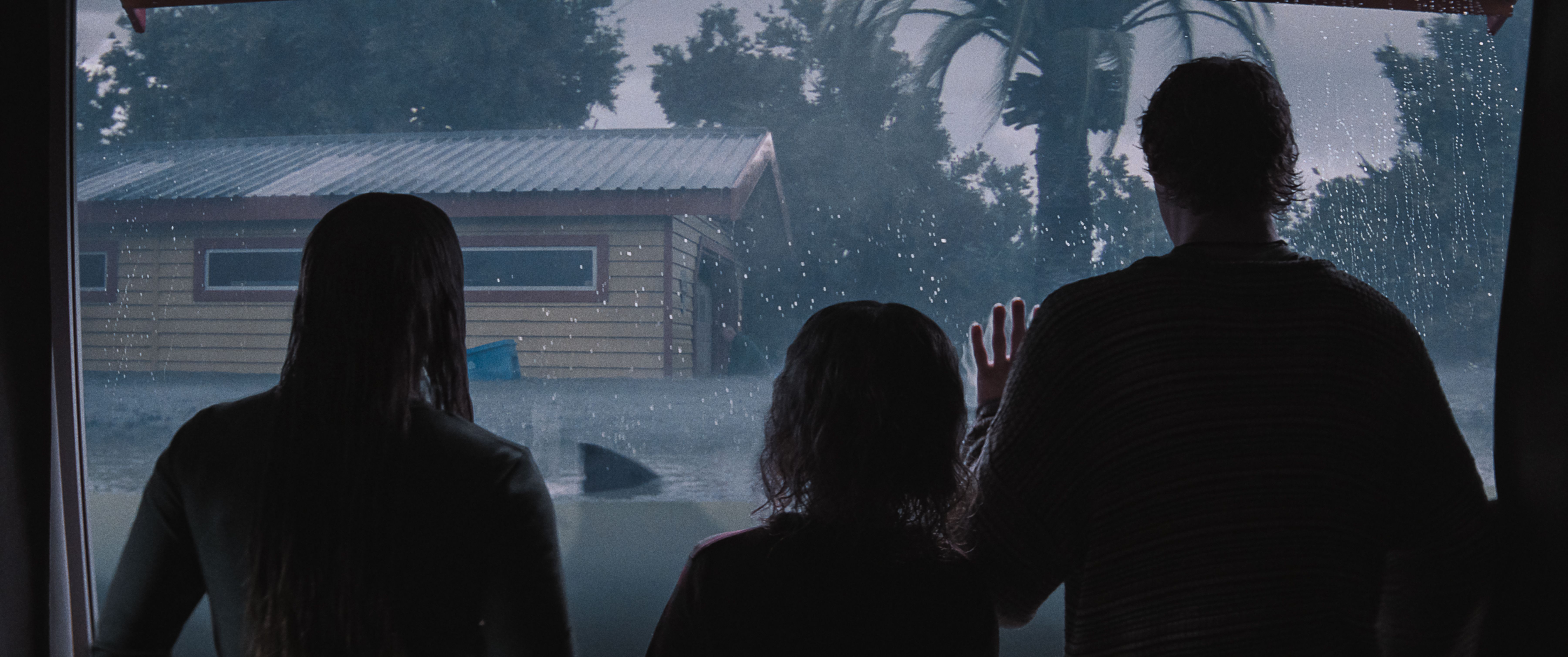 Image shows three children looking at a shark in floodwaters.
