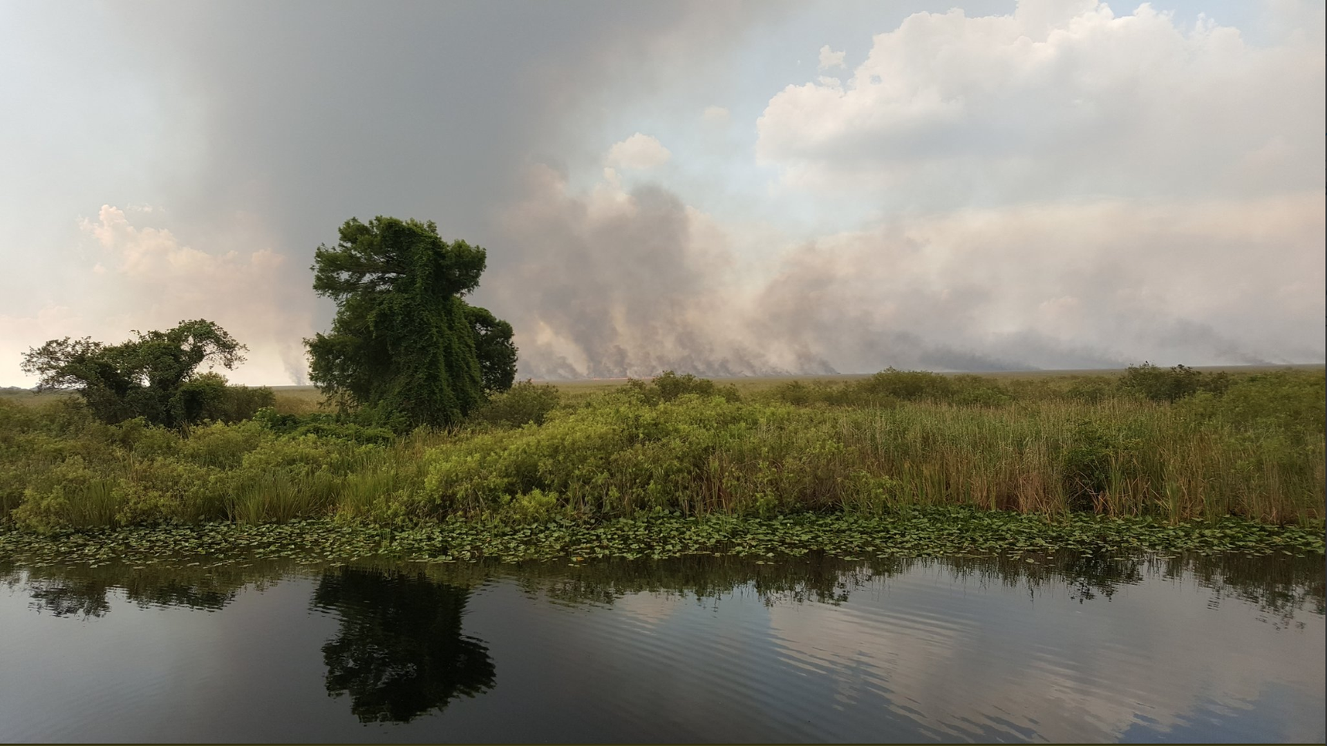 A Florida Forest Service picture of the Everglades fire.