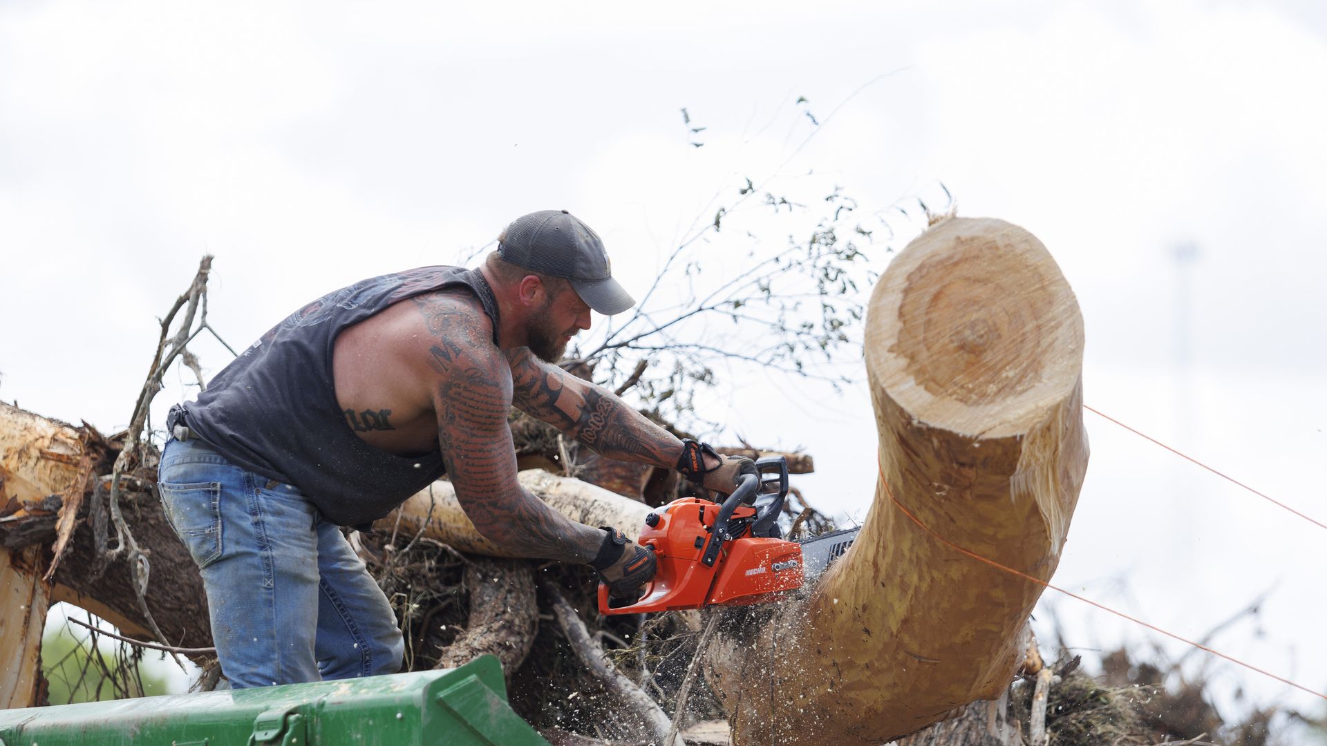 A man uses an orange electric chainsaw to cut through a large fallen log 
