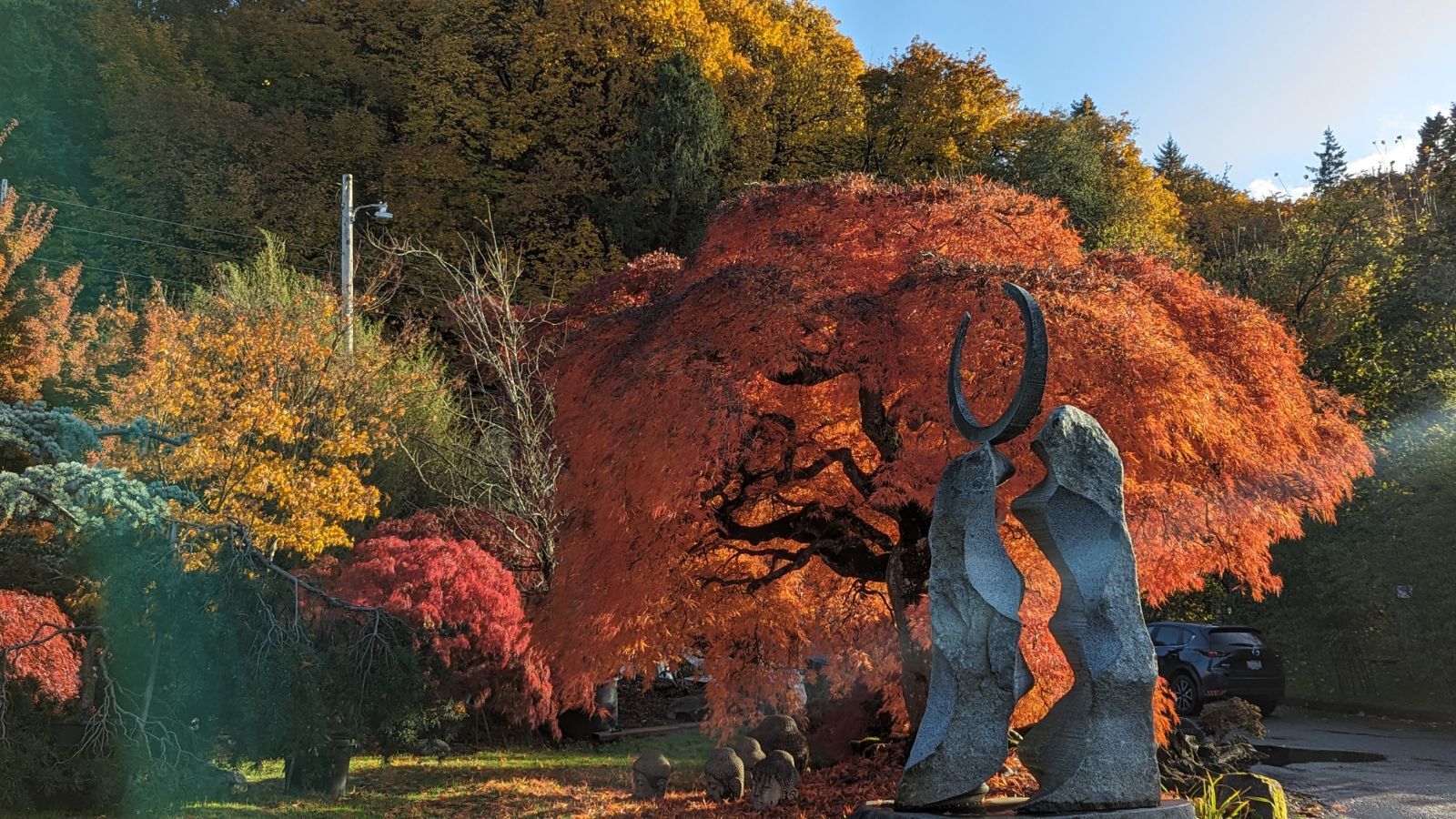A naturalistic landscape design featuring a sculpture. 