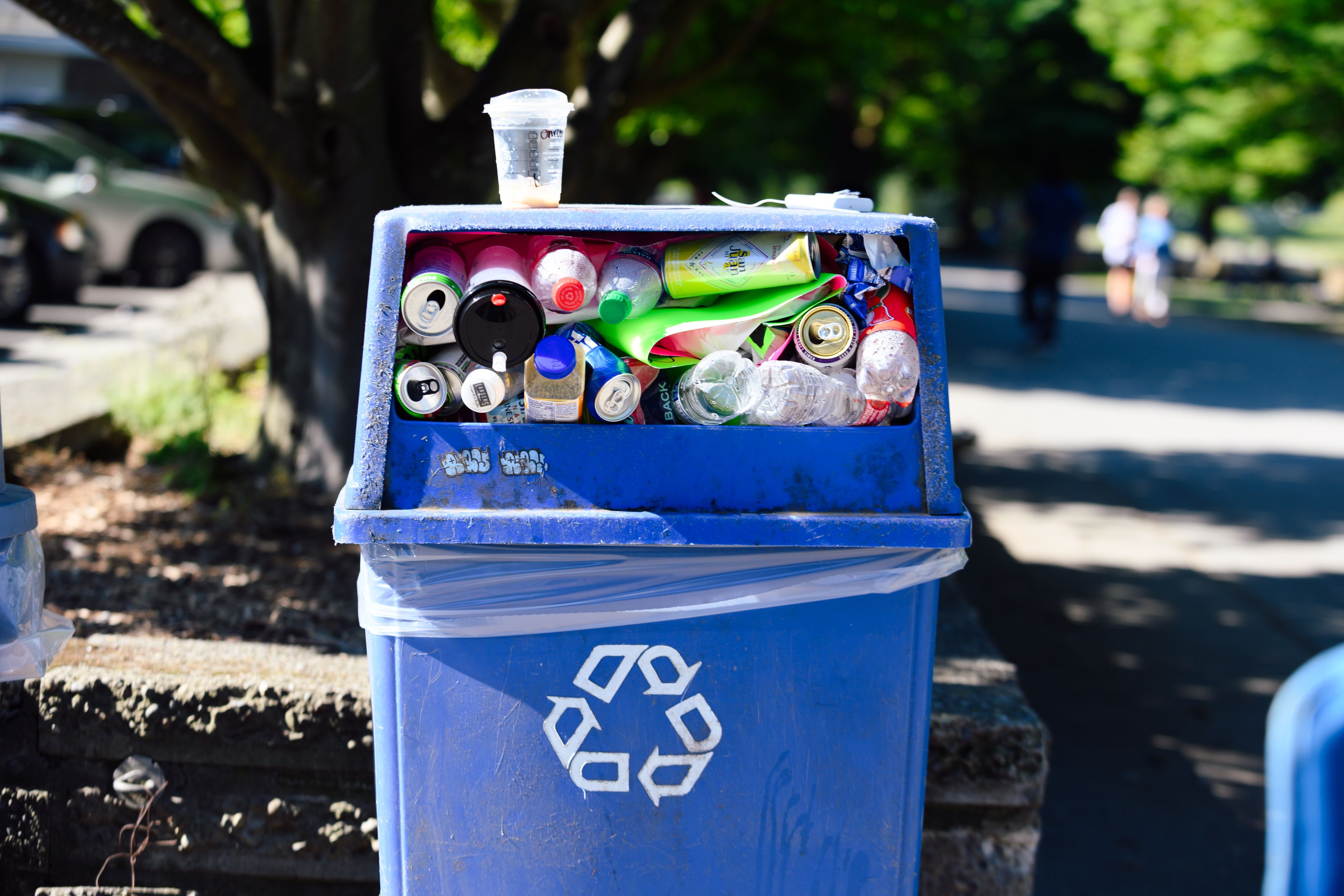An empty plastic iced coffee cup sits on top of a blue recycling bin that is stuffed full, with green trees and paths vaguely visible in the background.