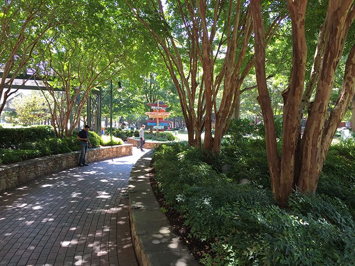 green-shaded-seating