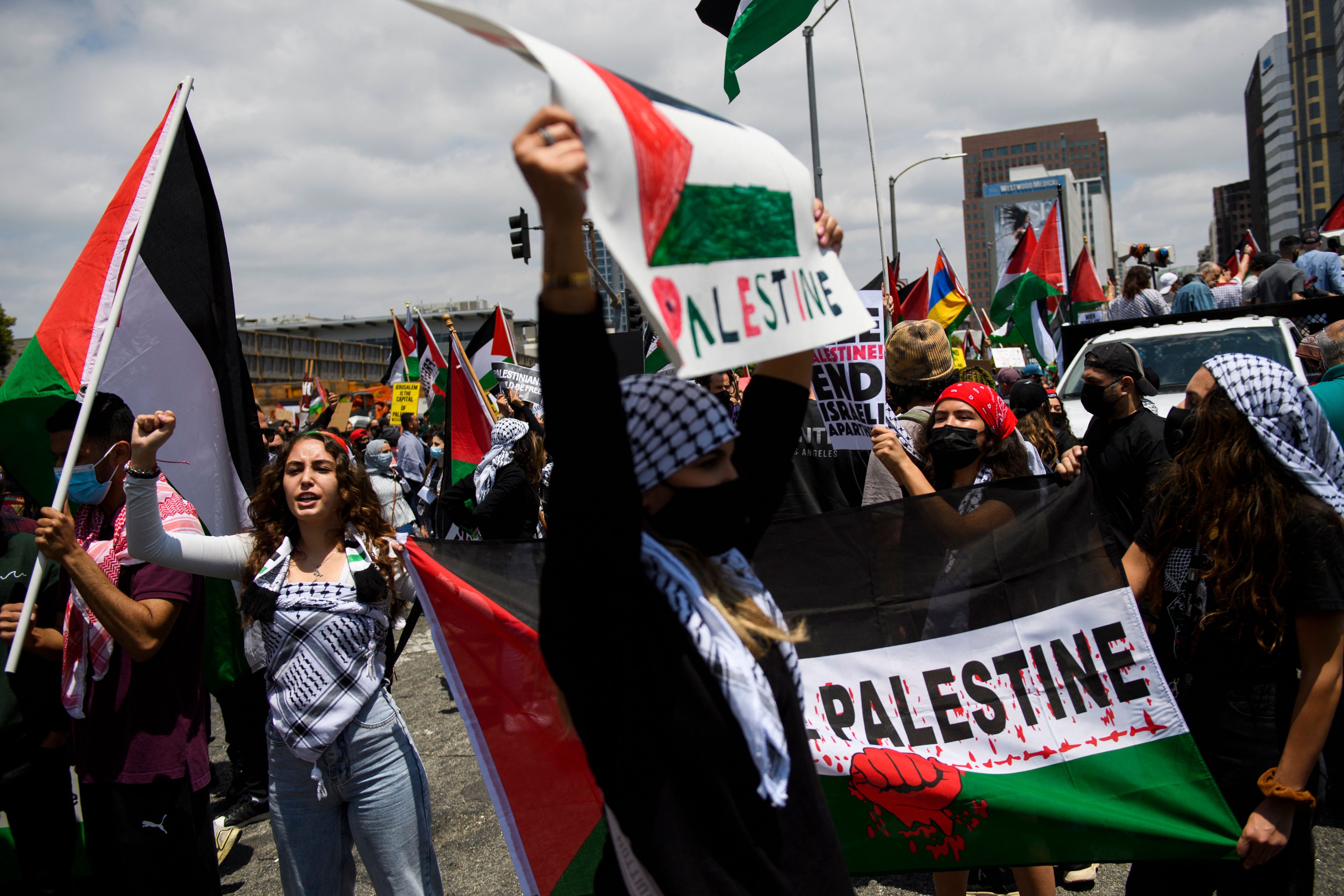 People demonstrate in support of Palestine during the Los Angeles 
