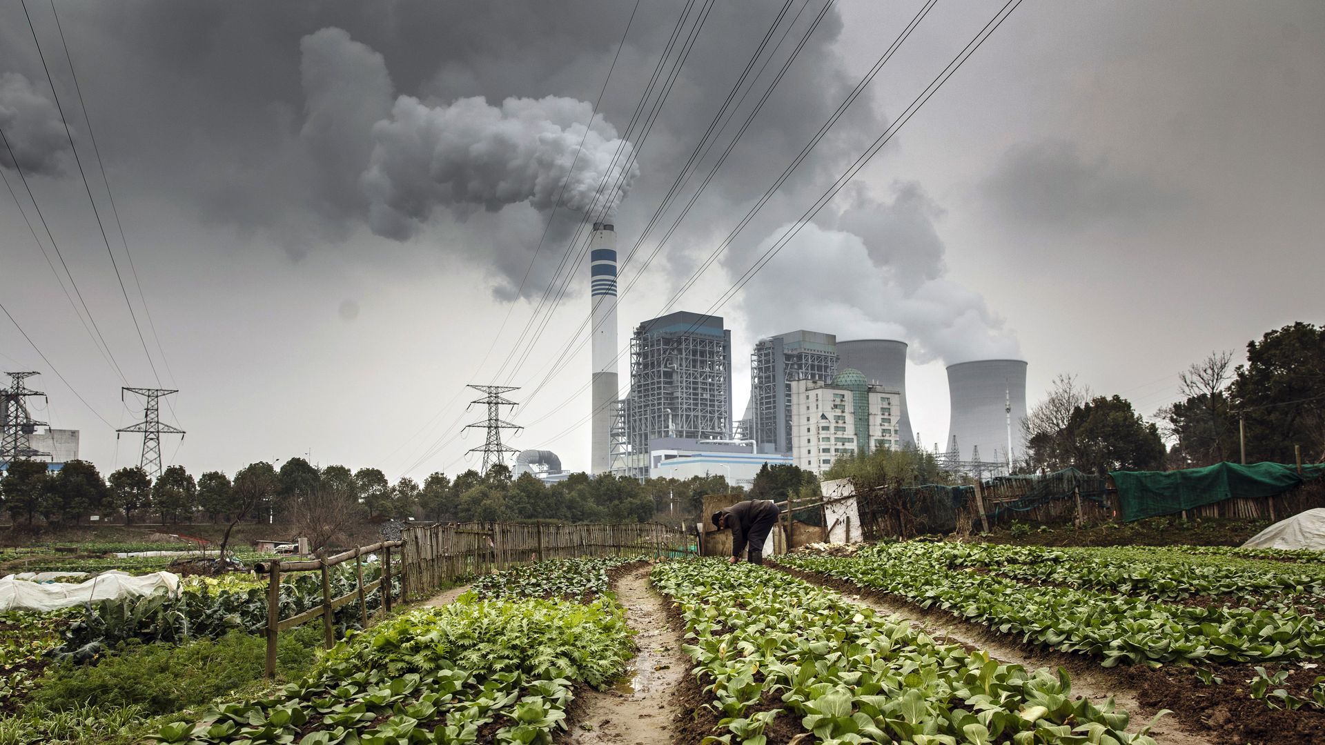 A field with a coal-fired power plant behind it.