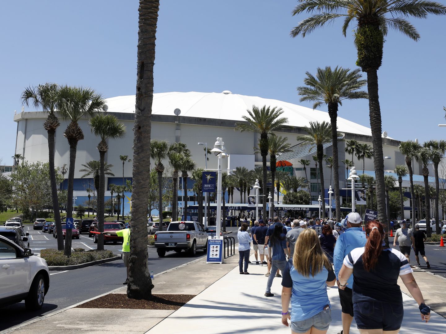 The rays are returning to Tropicana Field's outfield tank - Axios