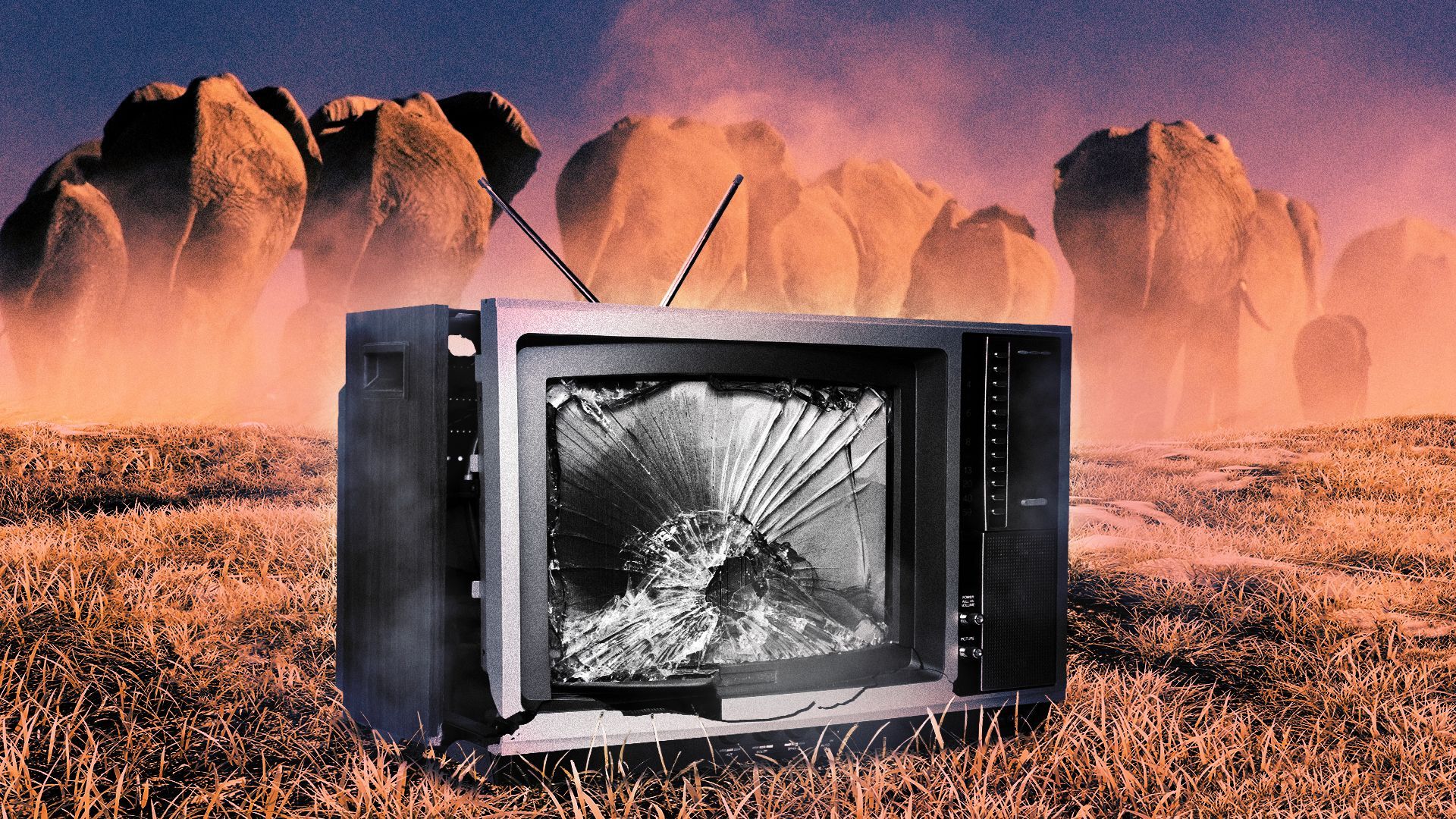Illustration of a broken TV with a shattered screen sitting in dry grass with a herd of elephants stampeding away in the background.