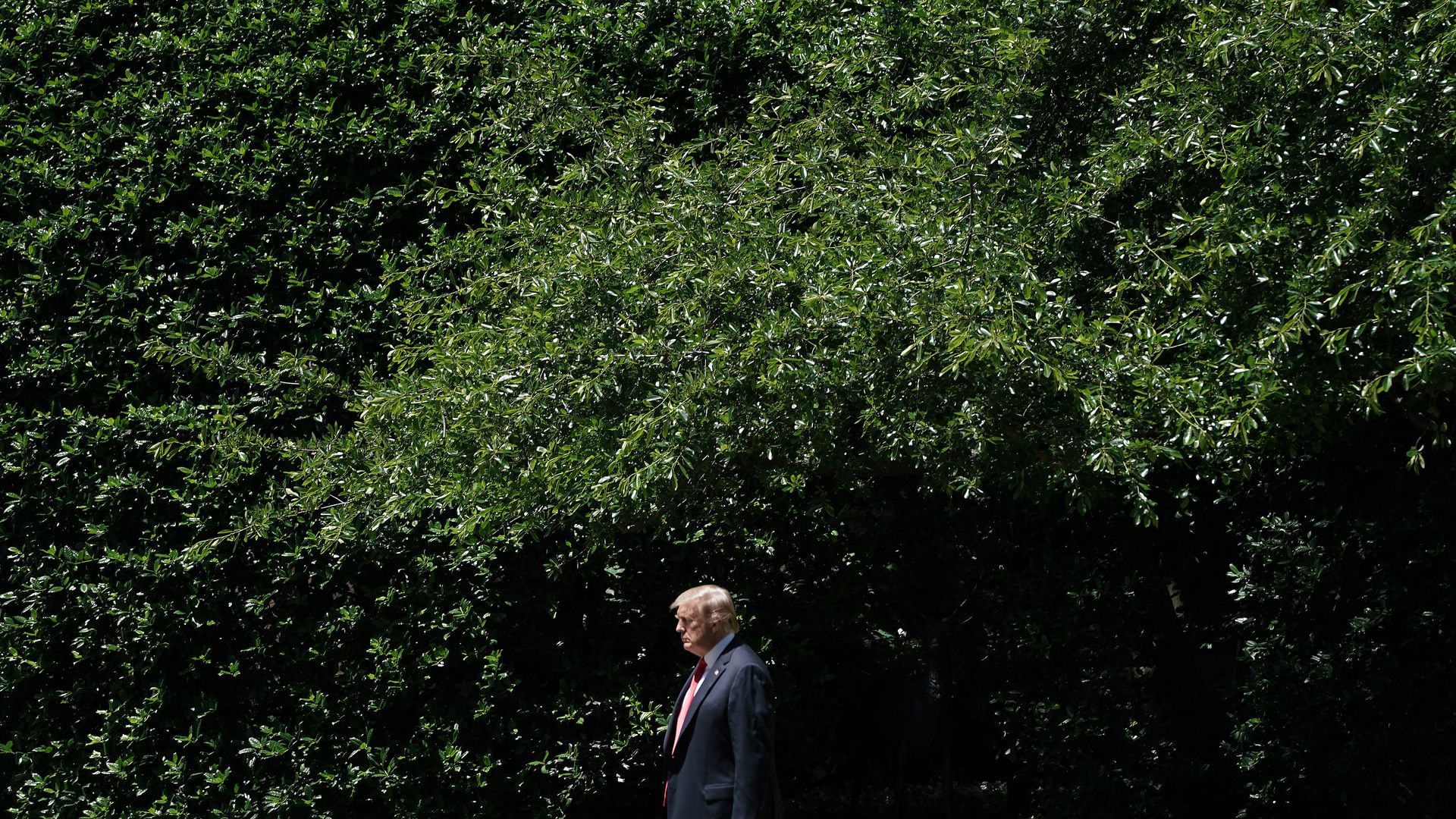 President Trump walks out of the White House