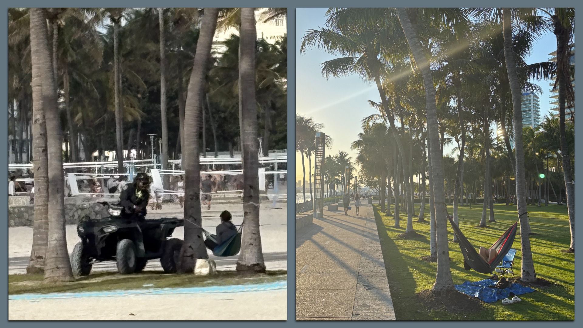 Miami Beach hammockers