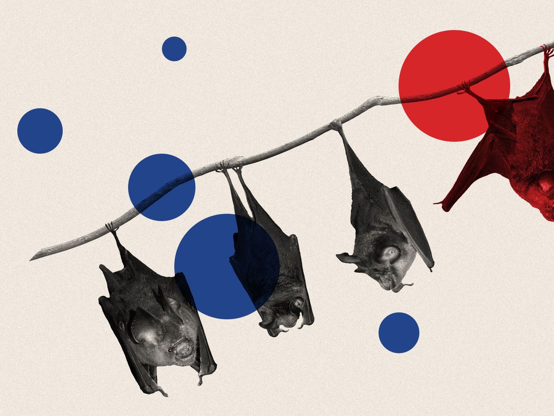 Bat biotech takes flight💯 Descubra a emoção das apostas online com a cs