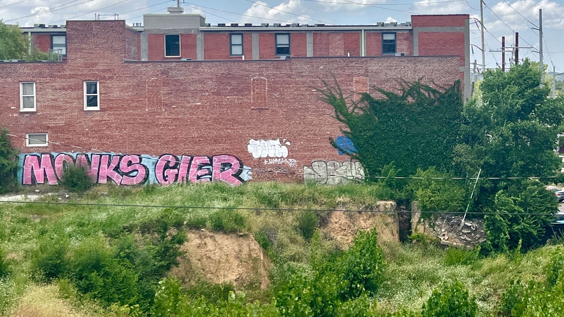 Brick wall with long graffiti along the bottom: large pink block letters left, white bubble graffiti center; overgrown grass in foreground; power lines above.