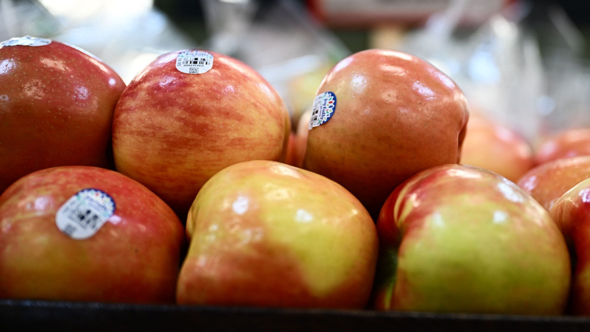 Honeycrisp apples piled up 