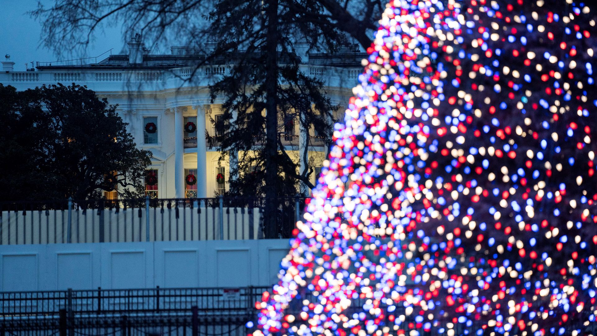 The national Christmas tree lit with White House in the background.